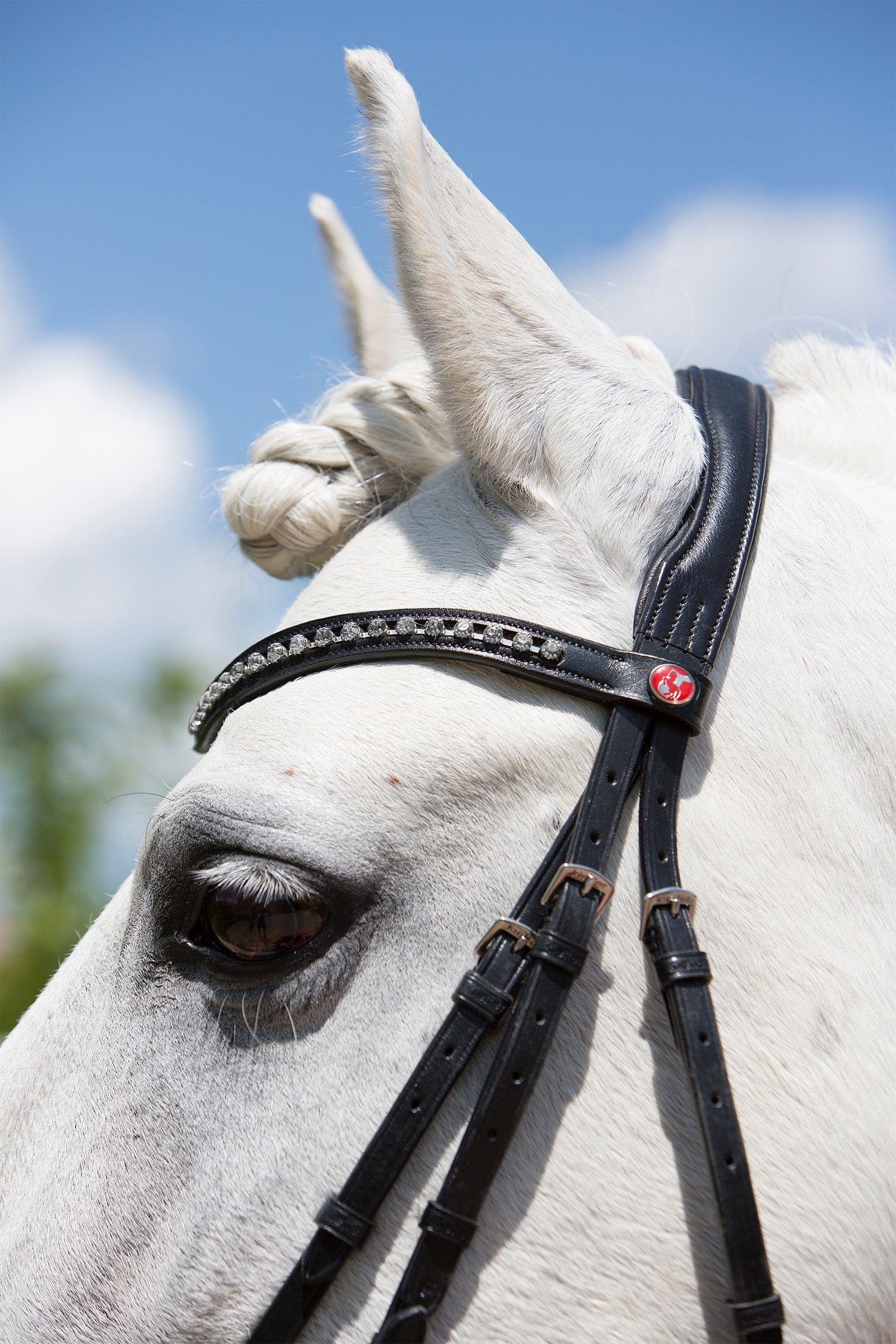 Kieffer Ultrasoft® Fashion Bridle Bridles & Reins