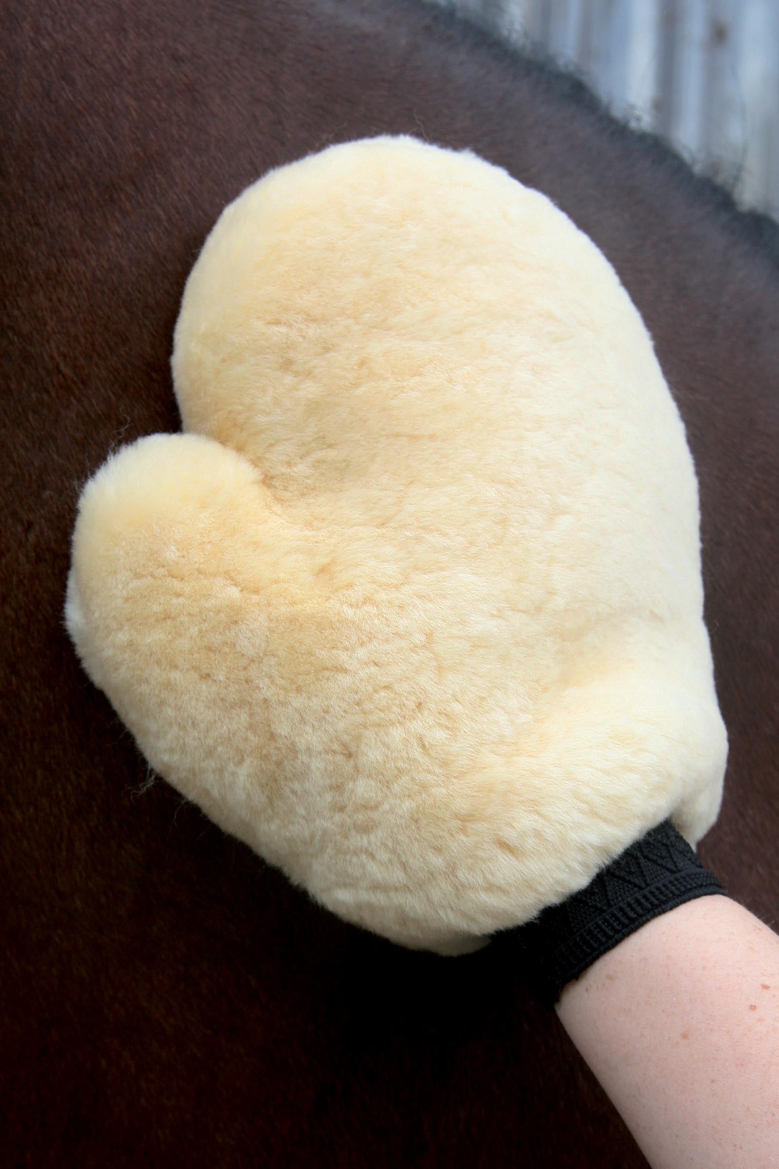 undefined Waldhausen Real Lambskin-Grooming Glove Horse Grooming Tools
