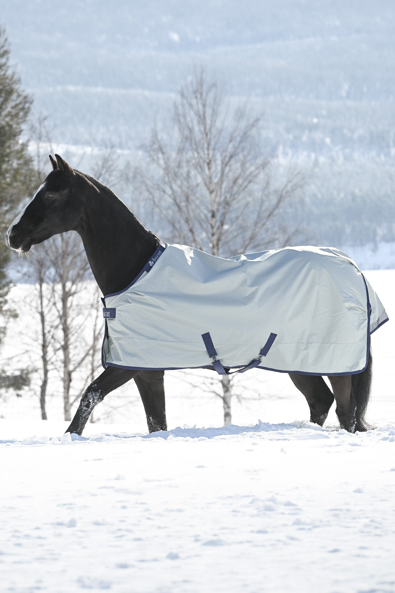 Lifestyle shot 2