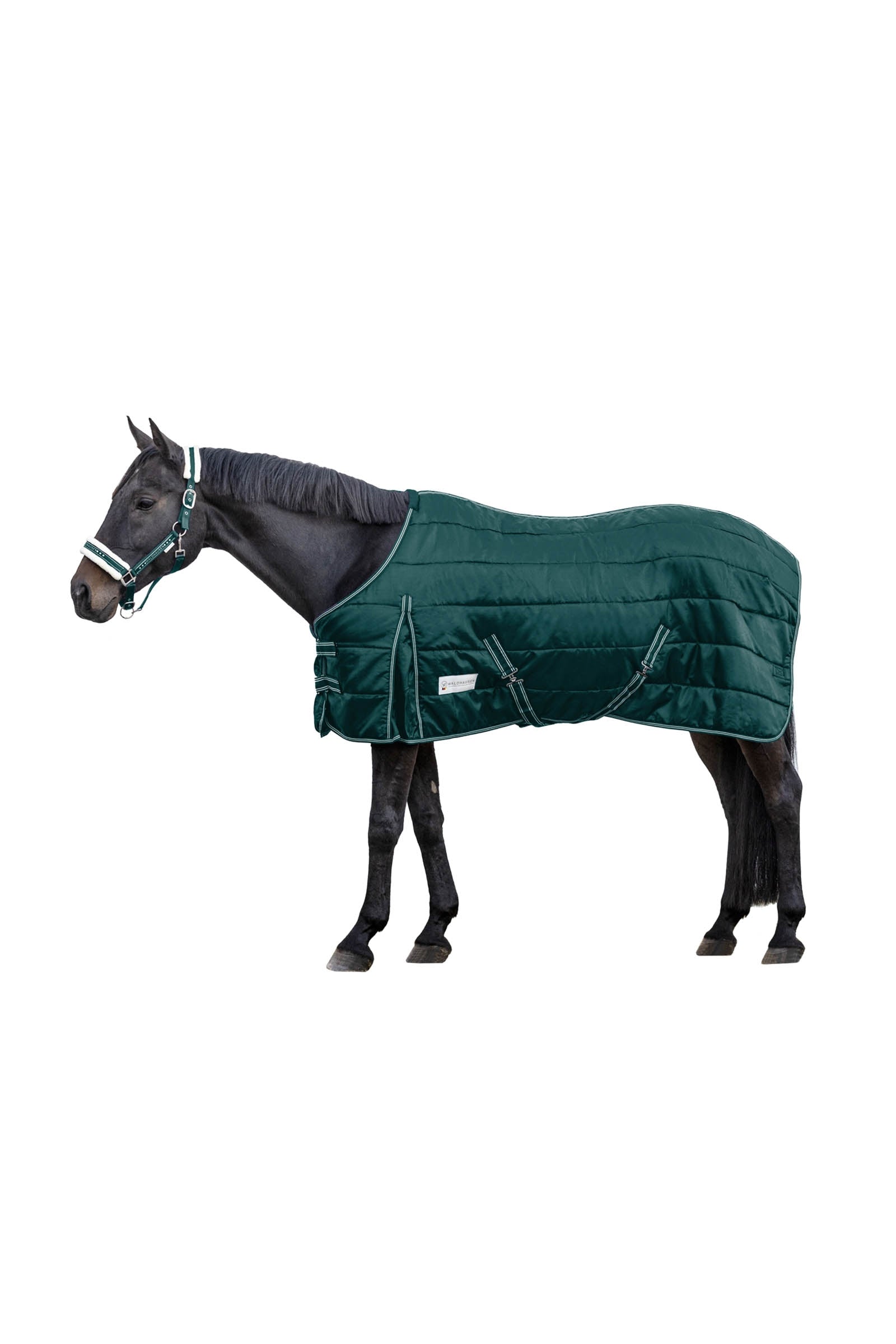 Waldhausen Stable Rug Economic 100 g Loimet