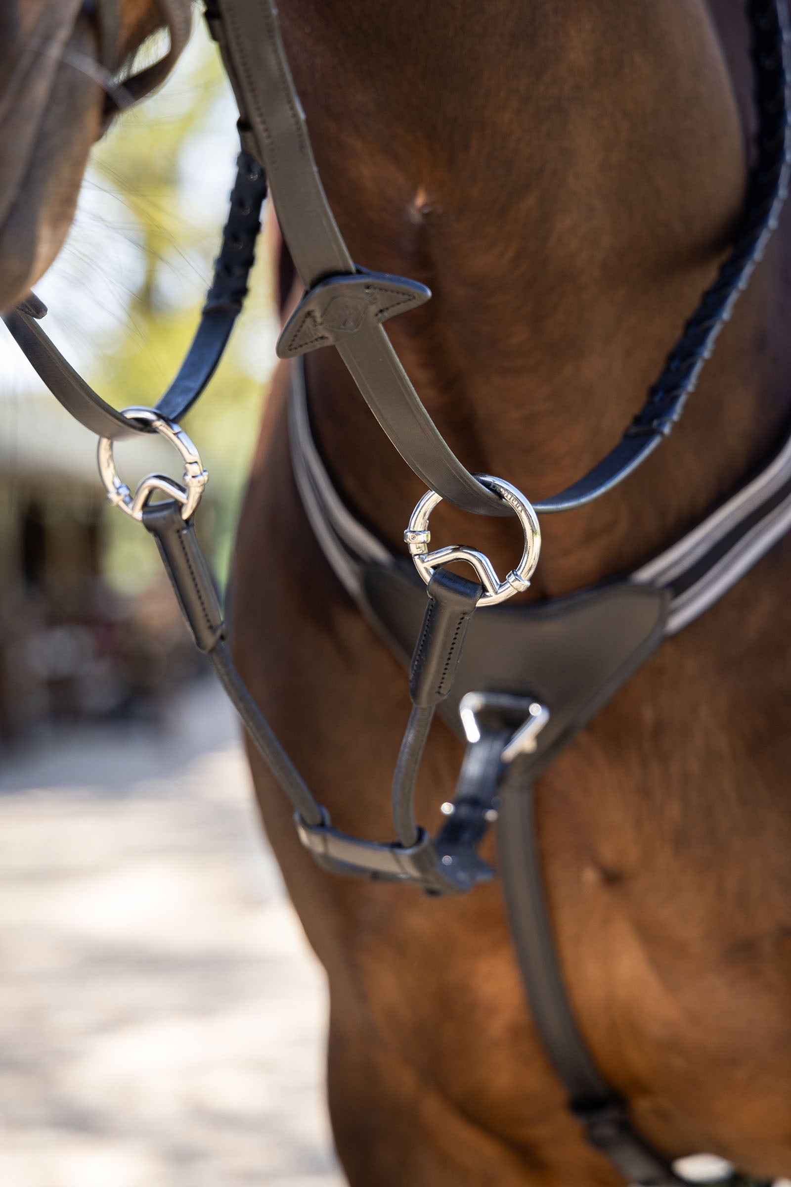 LeMieux Elasticated Martingale Attachment Bridles & Reins