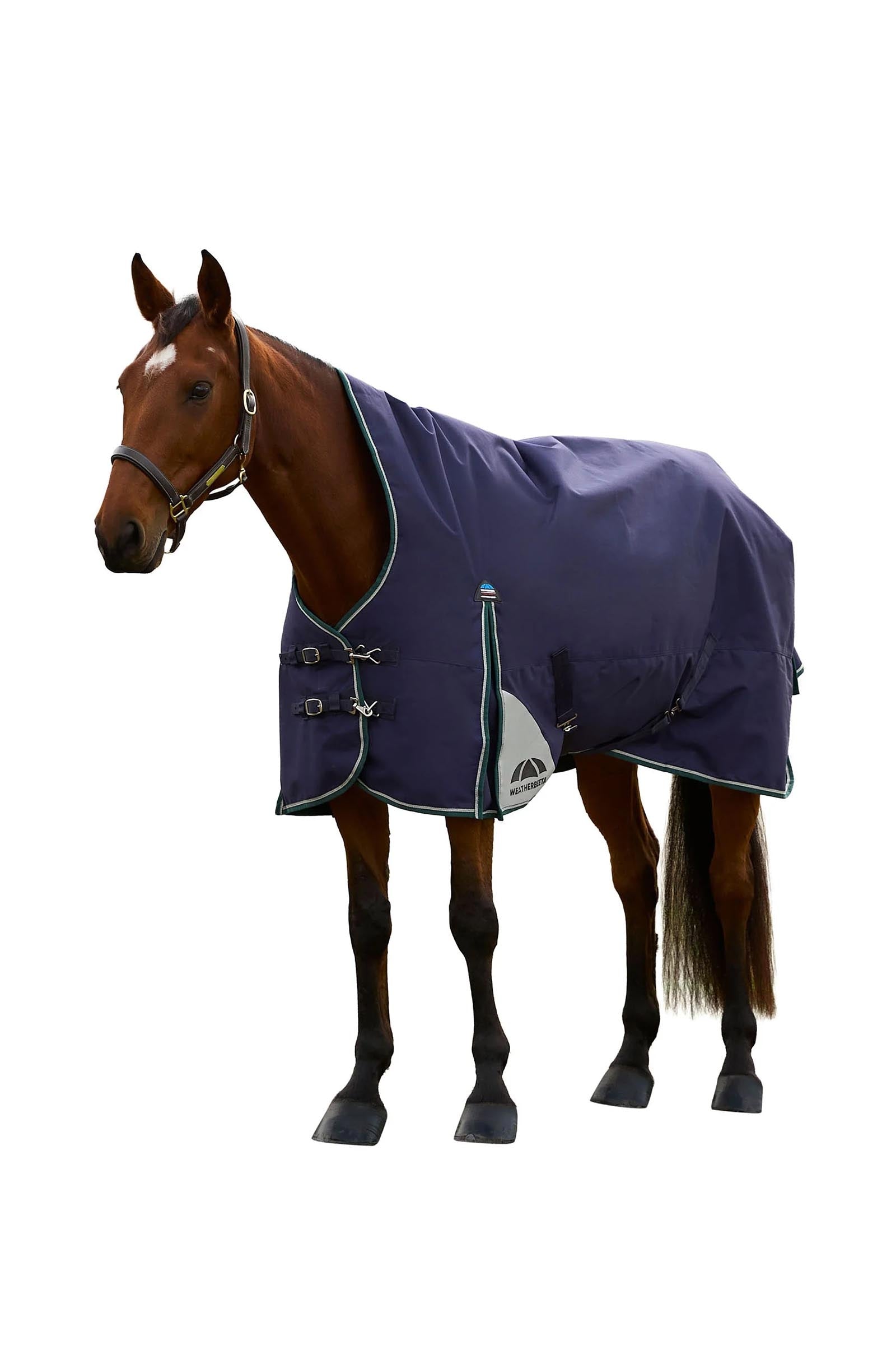 Weatherbeeta Comfitec Plus Dynamic Turnout Rug High Neck 220g Loimet