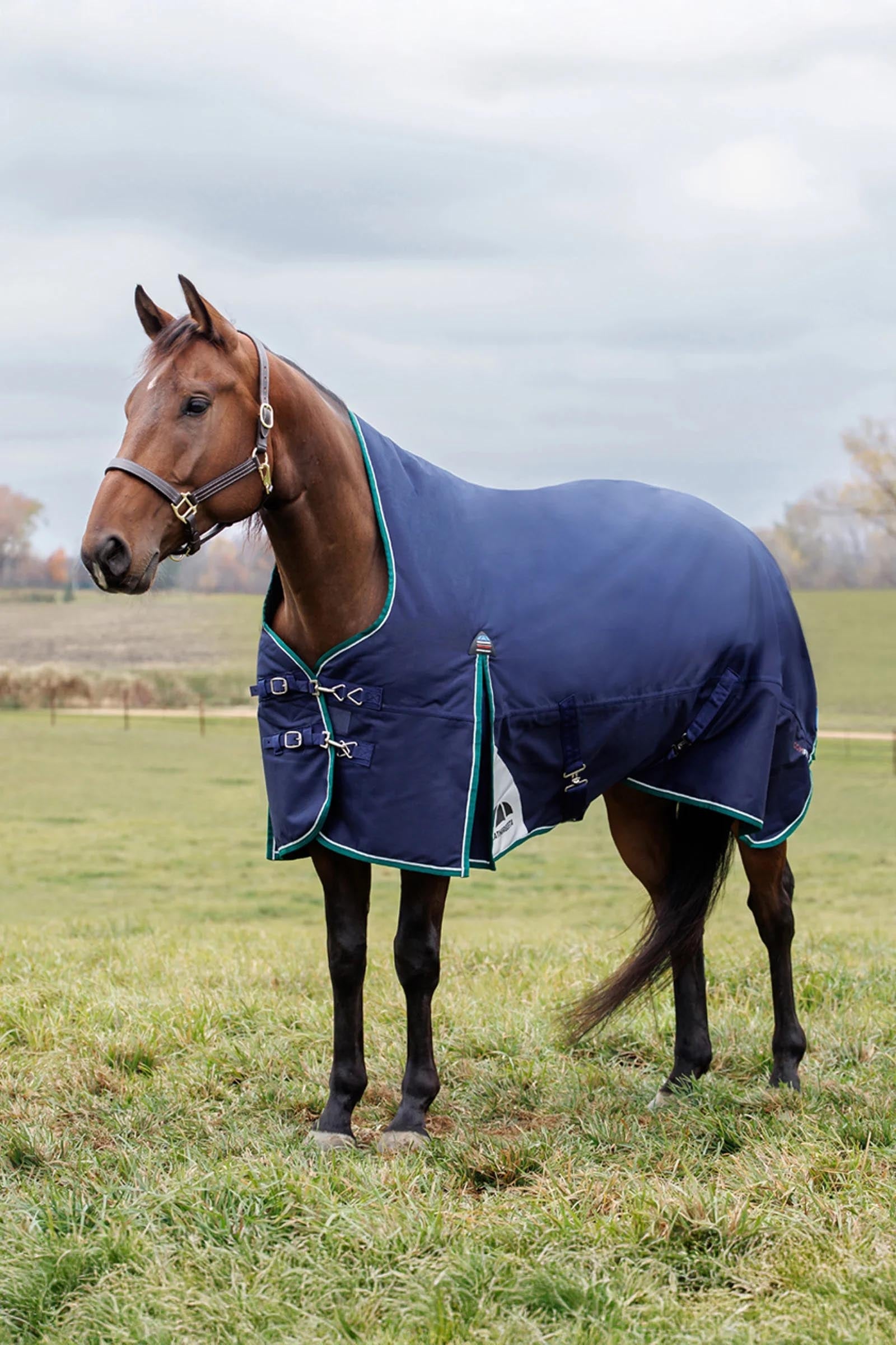 Weatherbeeta Comfitec Plus Dynamic Turnout Rug High Neck 220g Horse Rugs