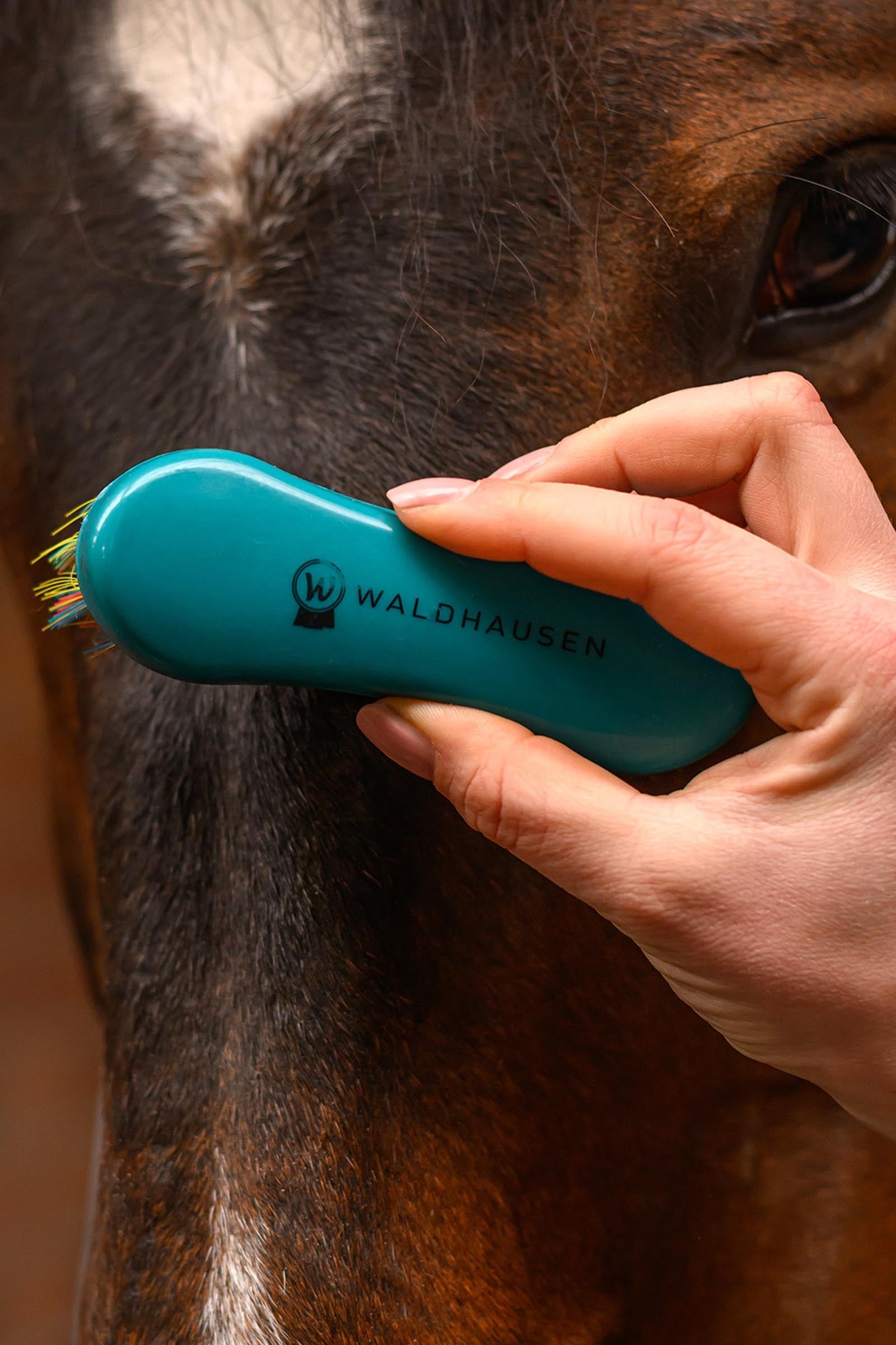 Waldhausen Rainbow Head Brush Horse Grooming Tools