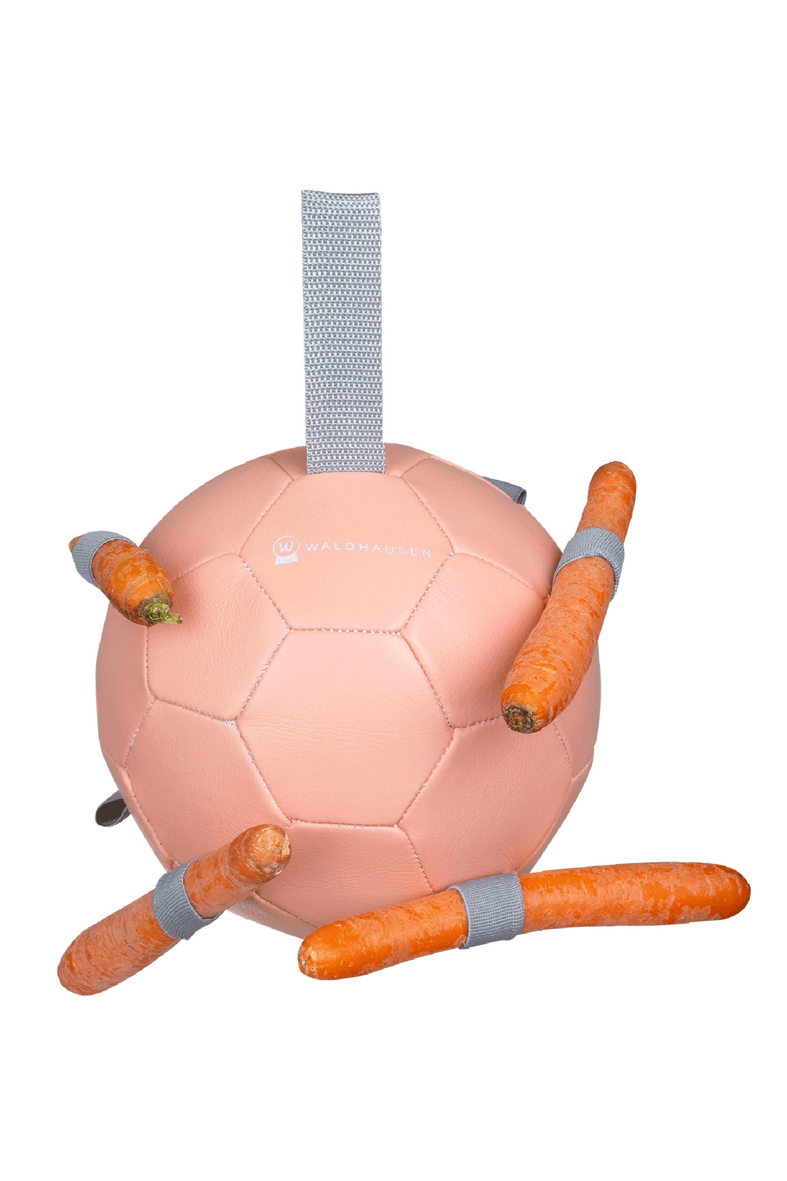 Waldhausen Porkkanapallo Treeniin & lelut