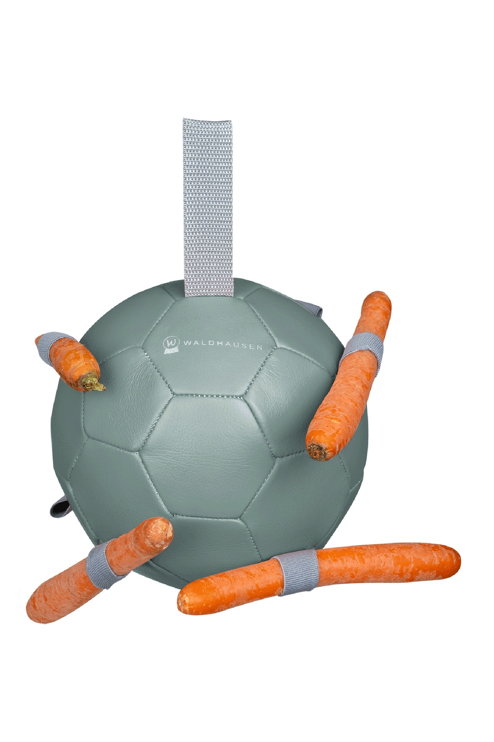 Waldhausen Carrot Ball Horse Toys & Riding Arena Supplies