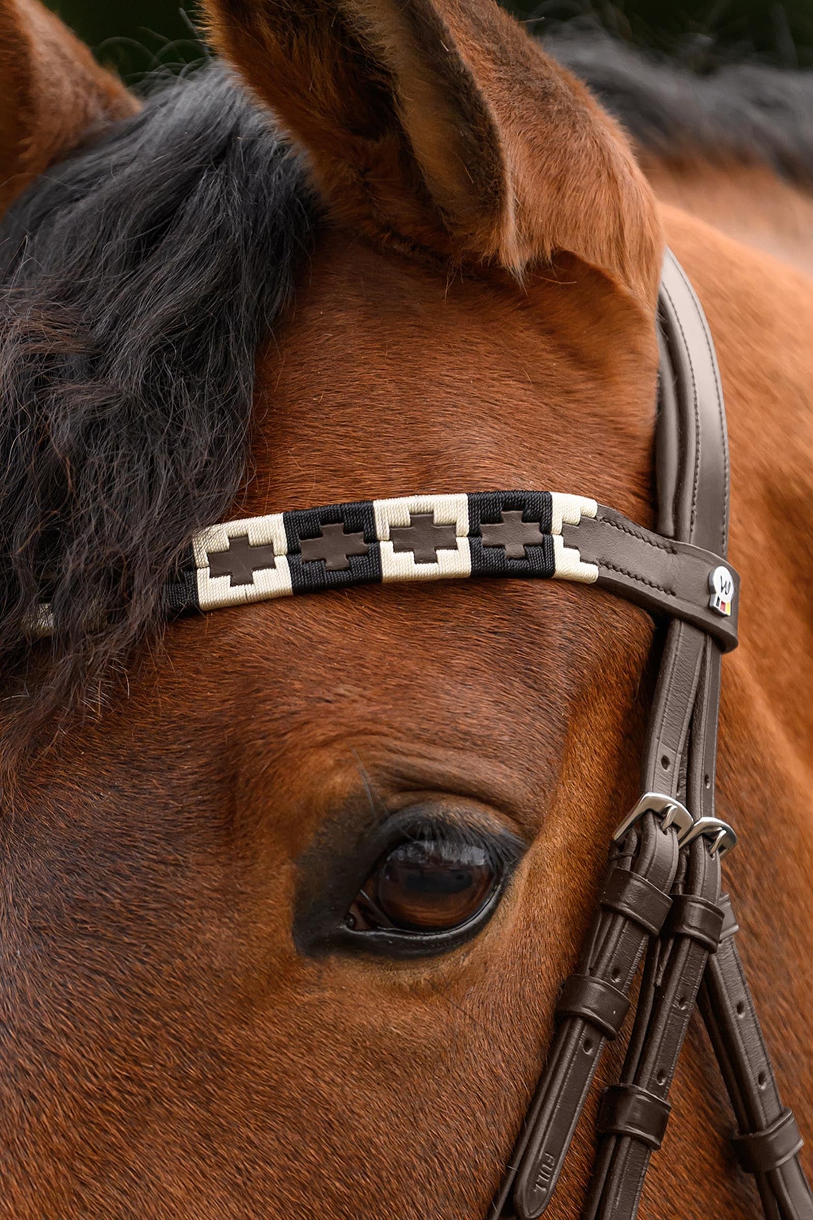 Waldhausen X-Line Polo Browband Bridles & Reins