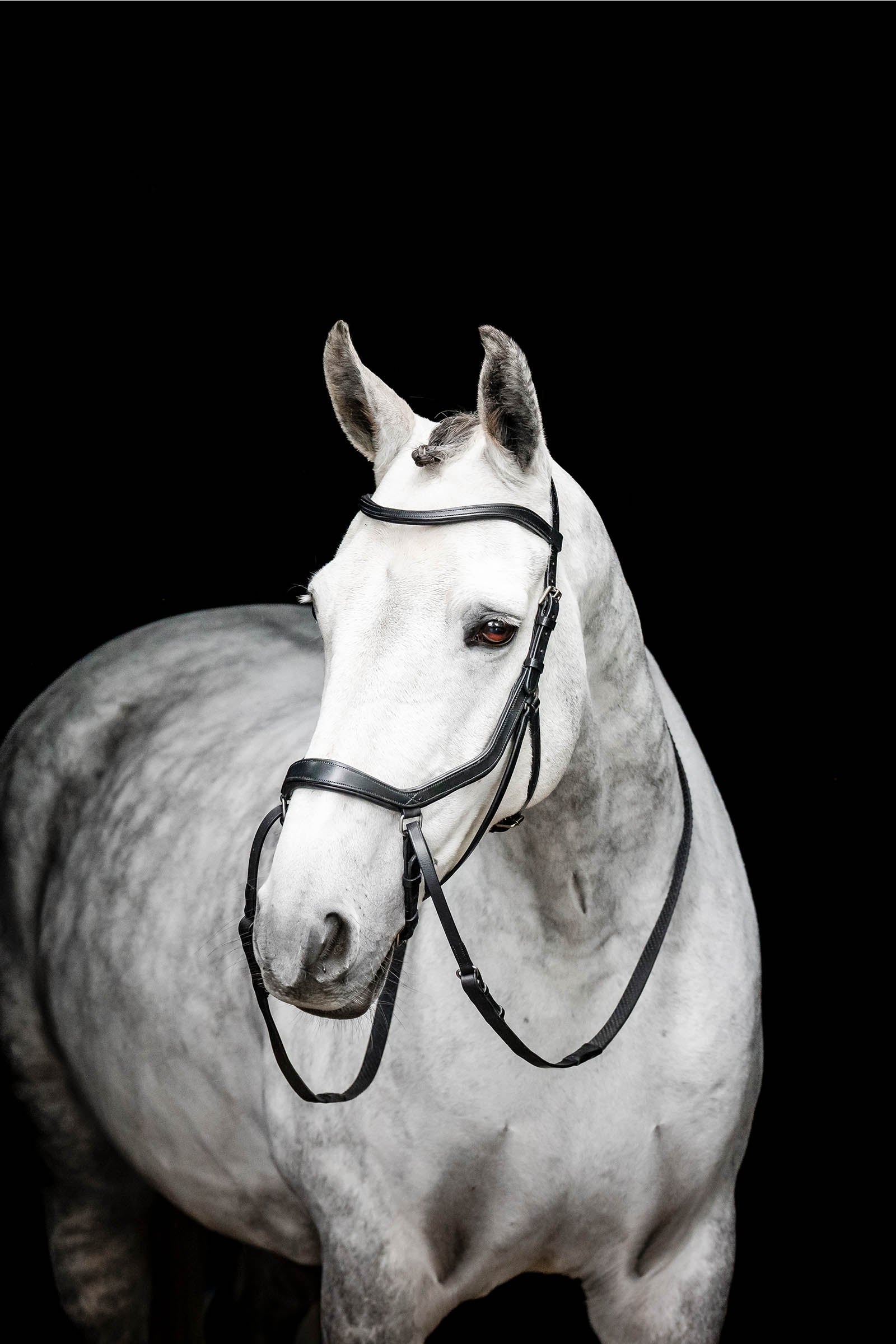 Horseware Micklem kuolaimeton suitsi Suitset & Ohjat