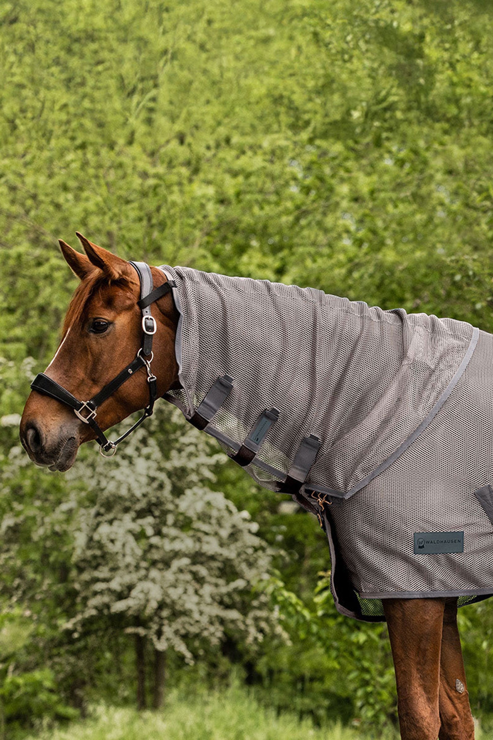 Waldhausen Comfort kärpässuojakaulakappale Loimet