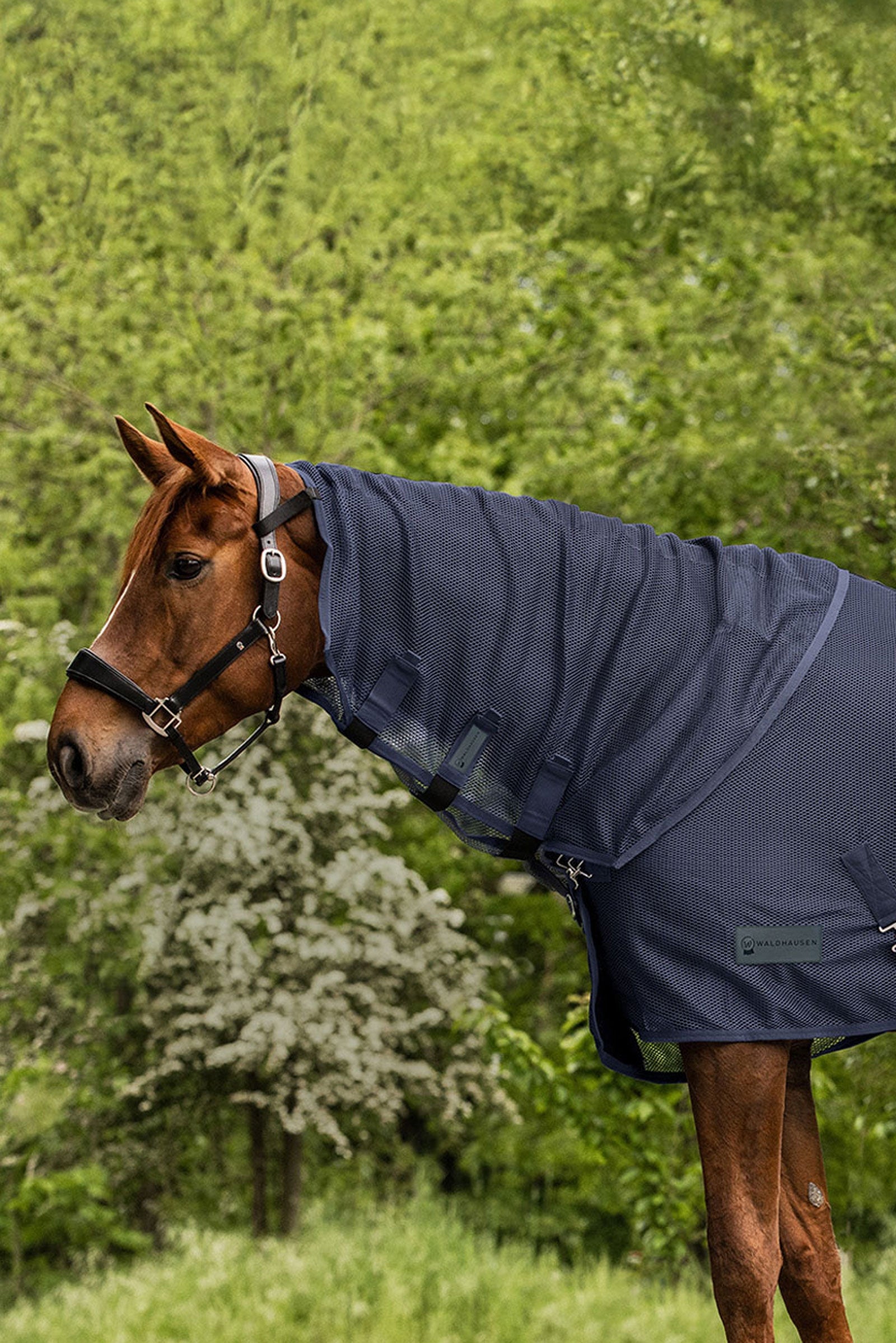 Waldhausen Comfort Fly Neck Cover Horse Rugs