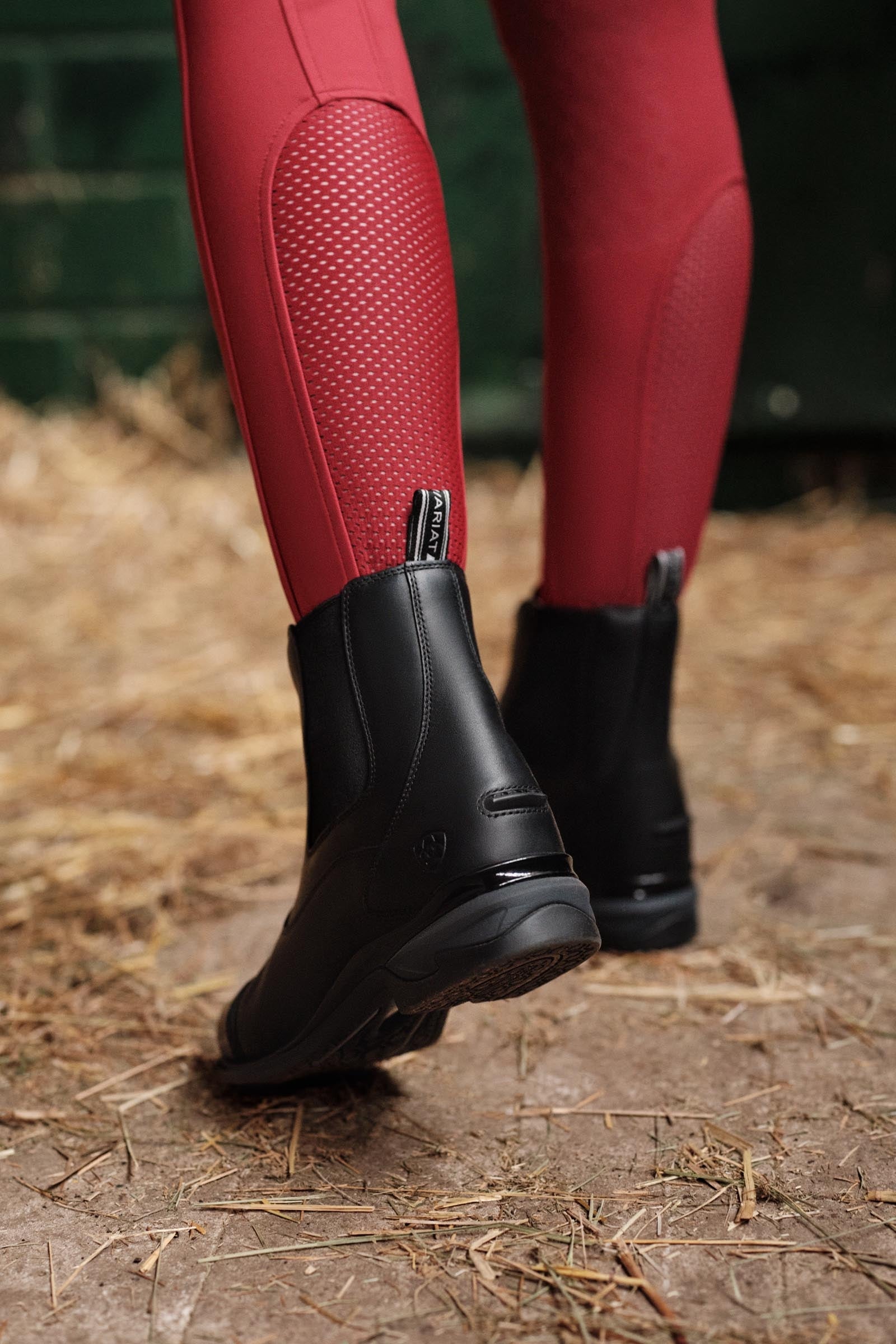 Ariat Devon Zip Paddock Women's Boots Riding Boots & Riding Shoes