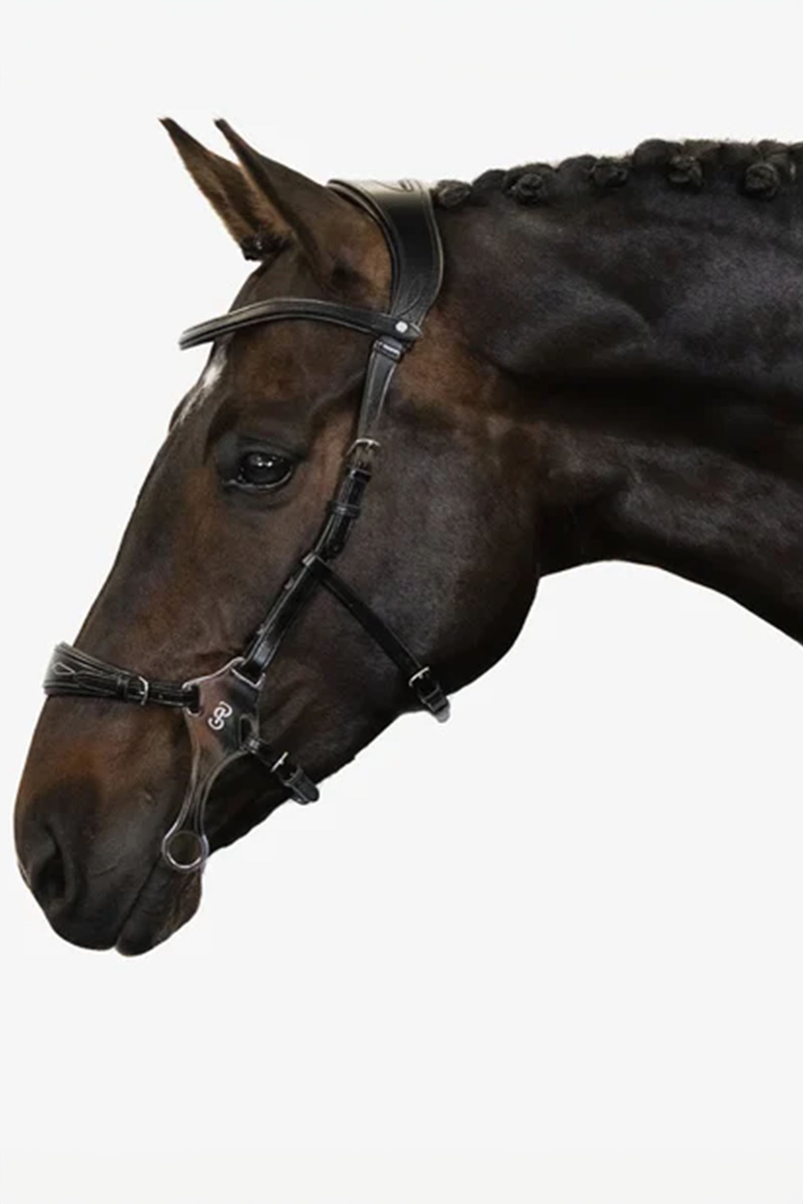 PS of Sweden Hackamore Sport Suitset & Ohjat