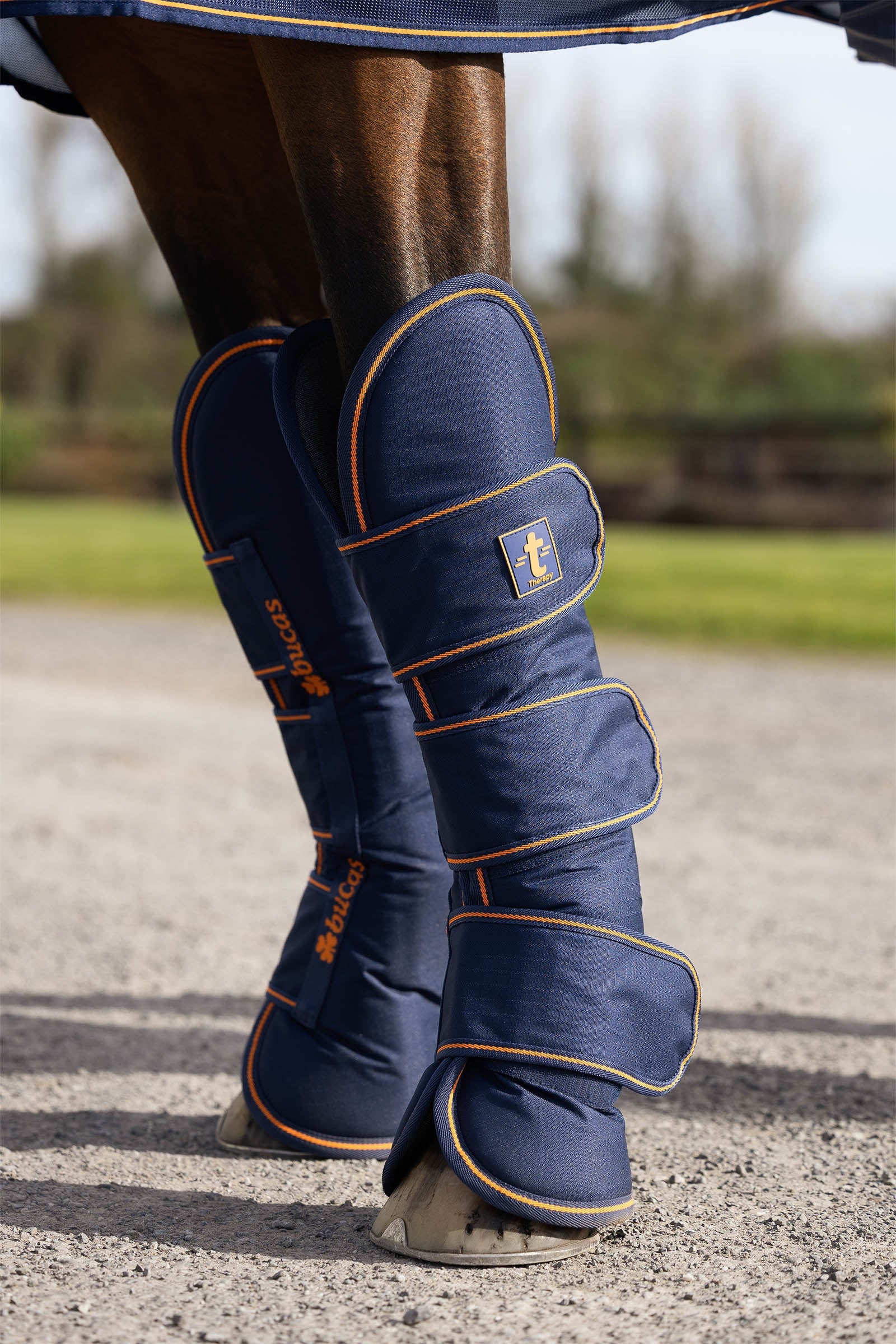 Bucas Terapia Matkakengät (4 kpl) Leg & Hoof Protection