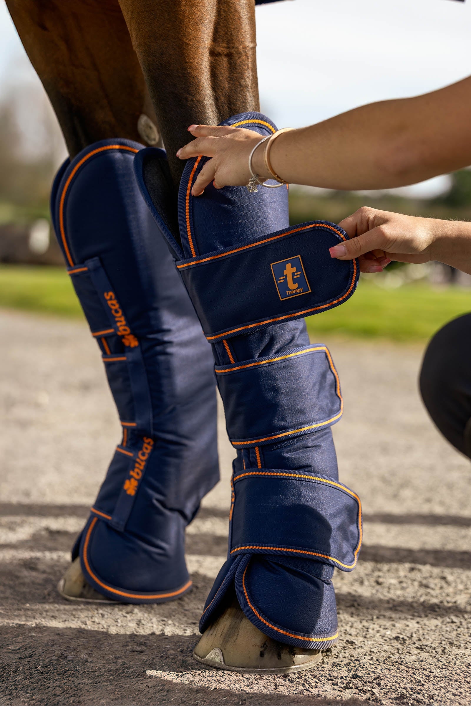 Bucas Therapy Travel Boots (Set of 4) Leg Protection & Hoof Protection for Horses