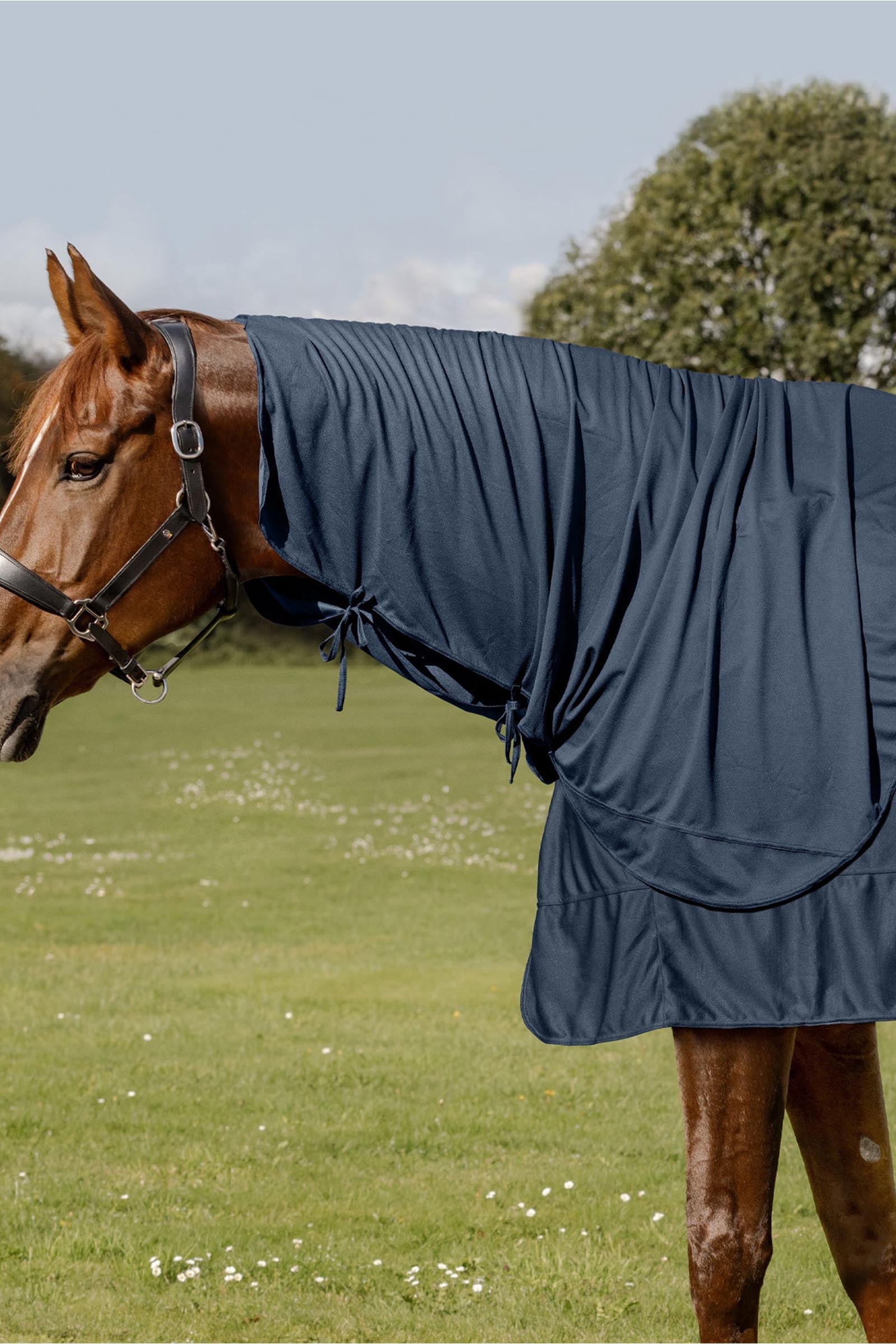 Waldhausen Health + Care Ice Layer Neck Part Horse Rugs