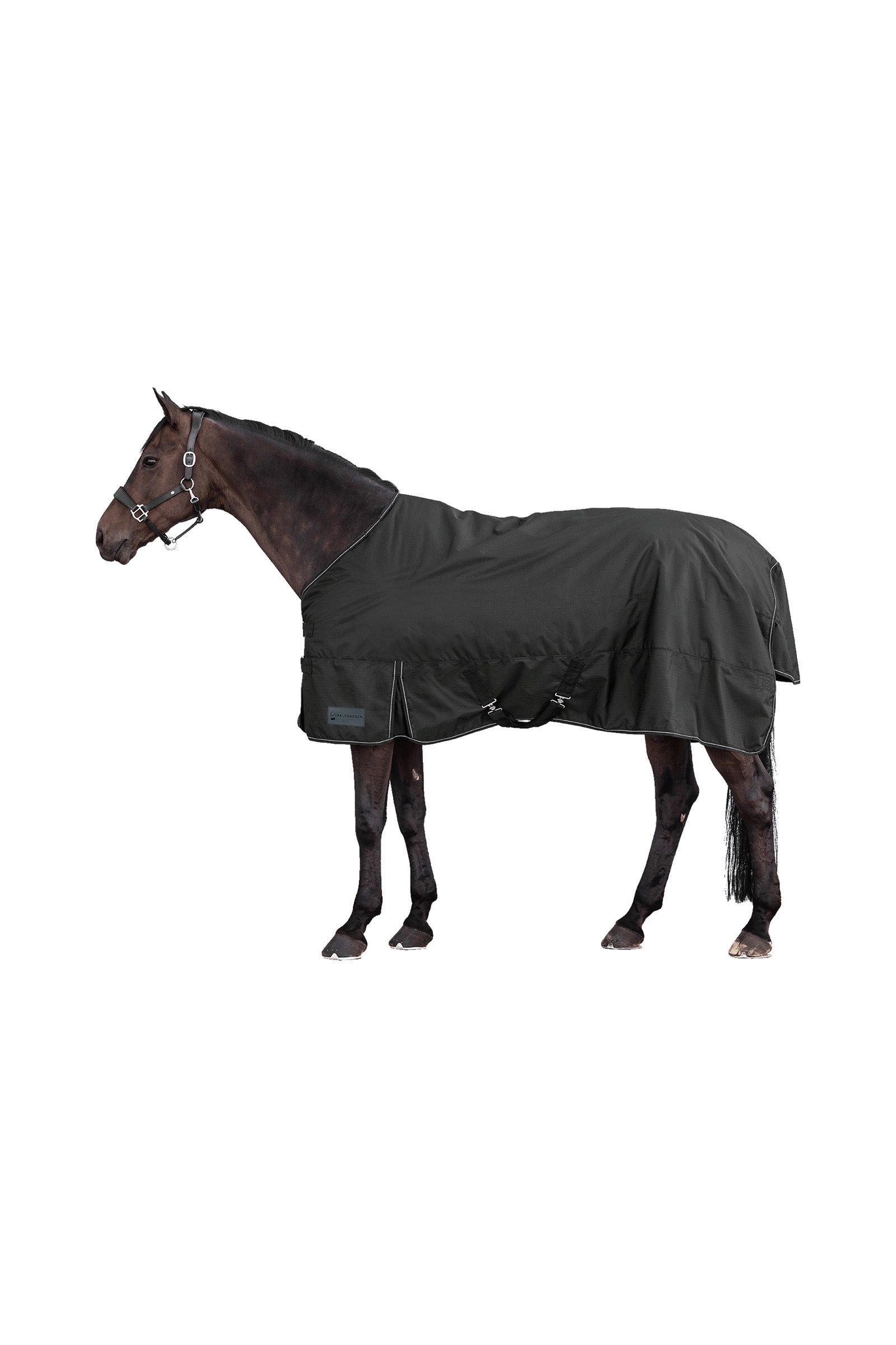 Waldhausen NORDIC 600D Ulkoloimi, 100 g Loimet