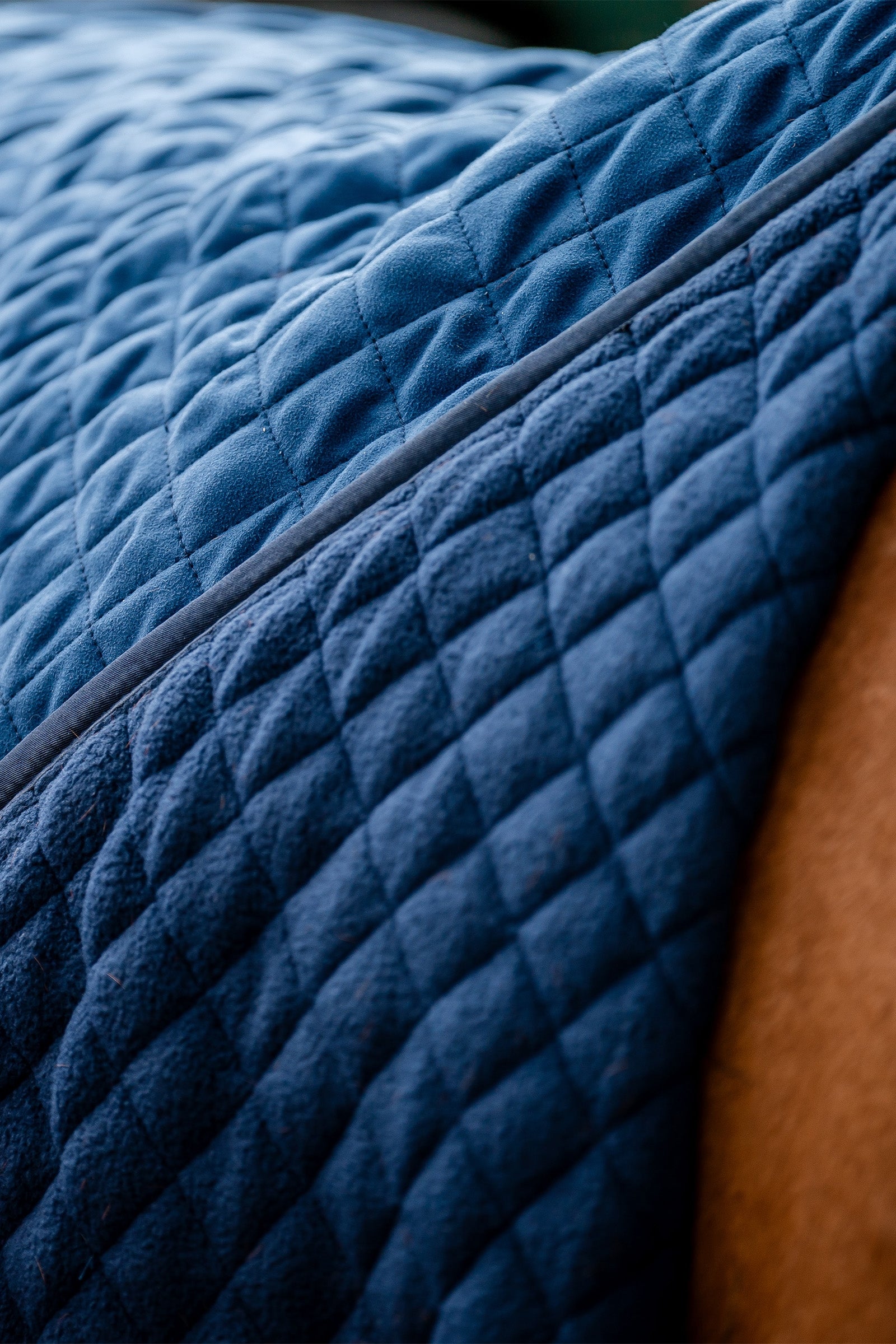 Horseware Signature Series Travel Rug, 50g Horse Rugs