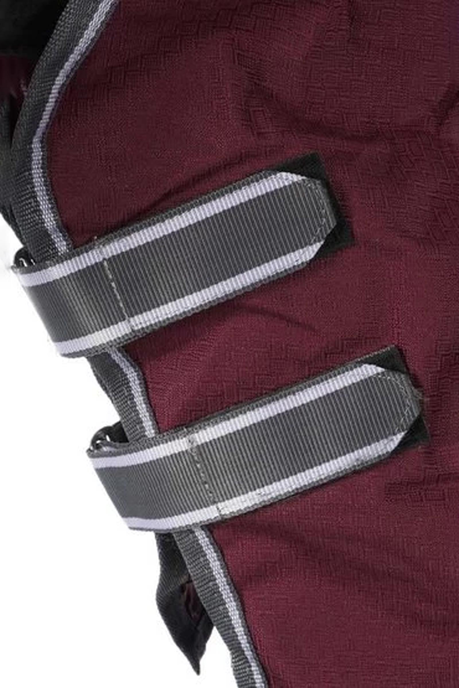 Weatherbeeta Comfitec Plus Dynamic II Turnout Rug With Detachable Neck, 220g Horse Rugs