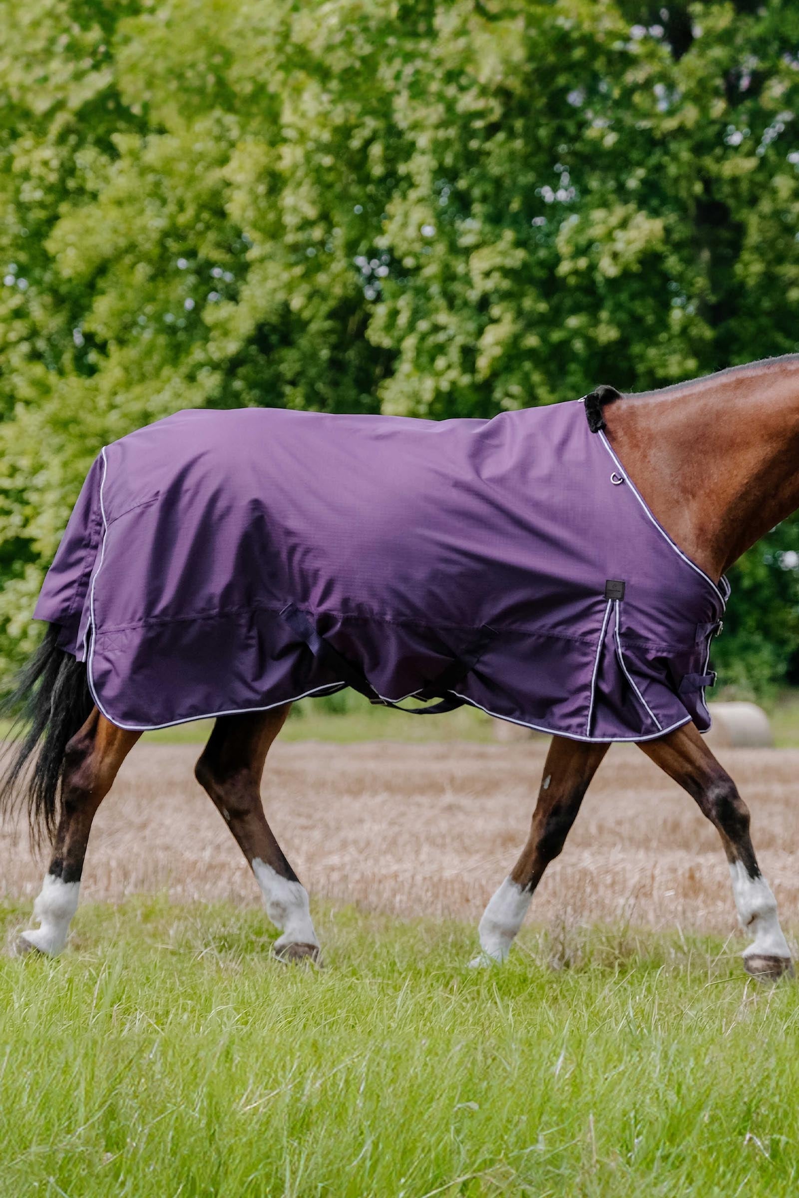 Equi Theme EQUITHÈME TYREX Aisance 600D Turnout Rug, 300 g Horse Rugs