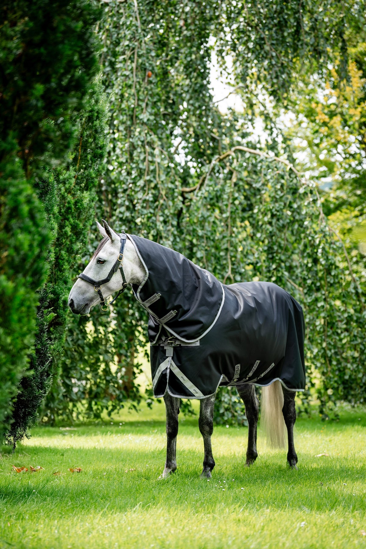 Horseware Amigo Bravo 12 Plus Turnout Rug With Detachable Neck, 0g Horse Rugs