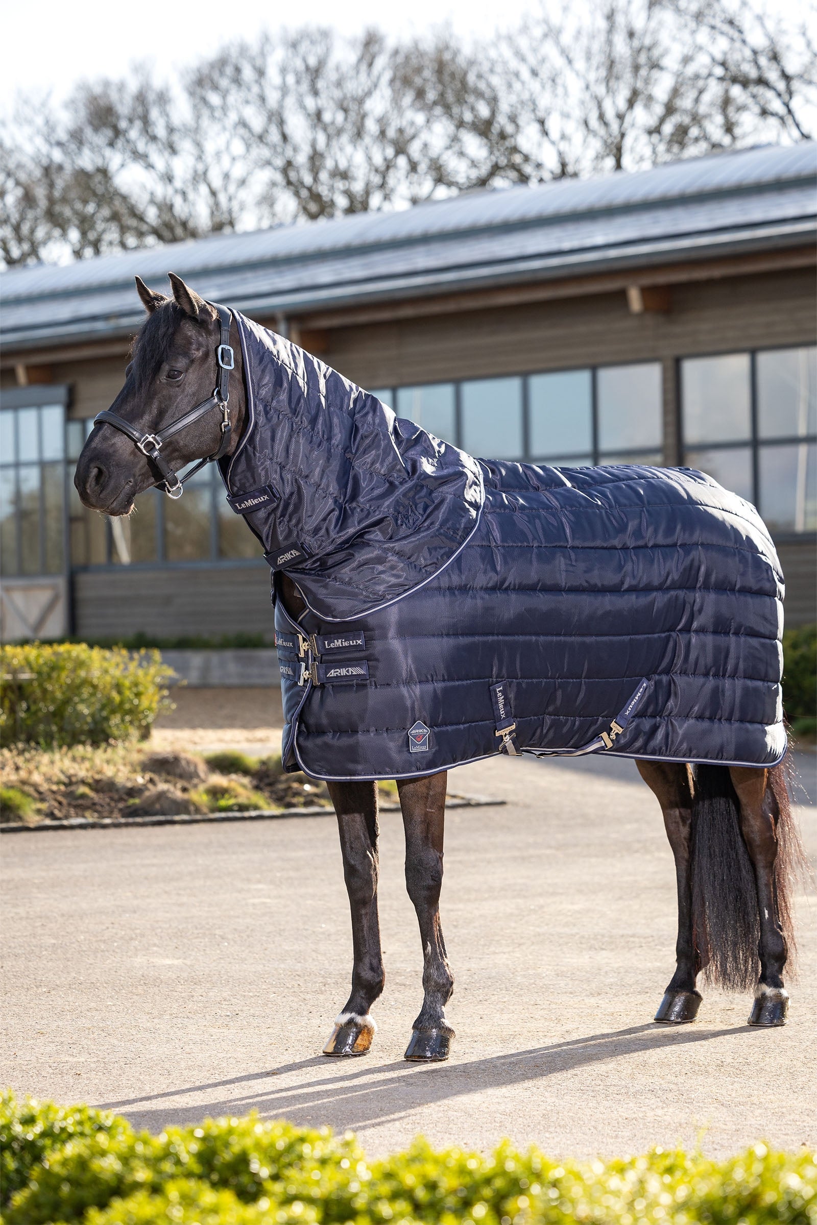 LeMieux Arika Stable-Tek Stable Rug, 100 g Horse Rugs