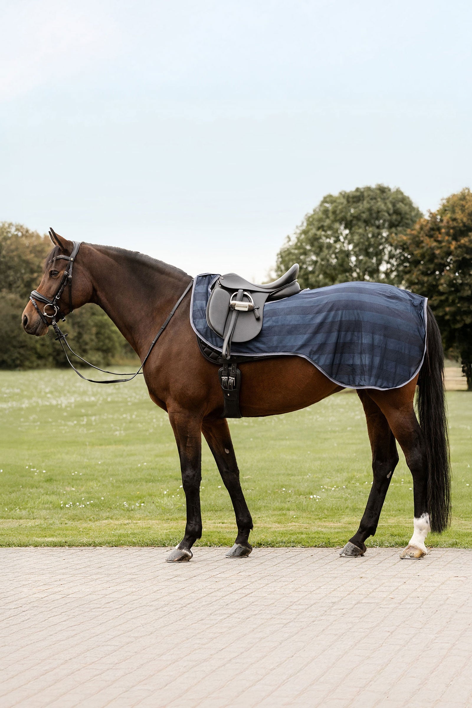 Waldhausen Economic ratsastukseen tarkoitettu kärpässuoja Loimet