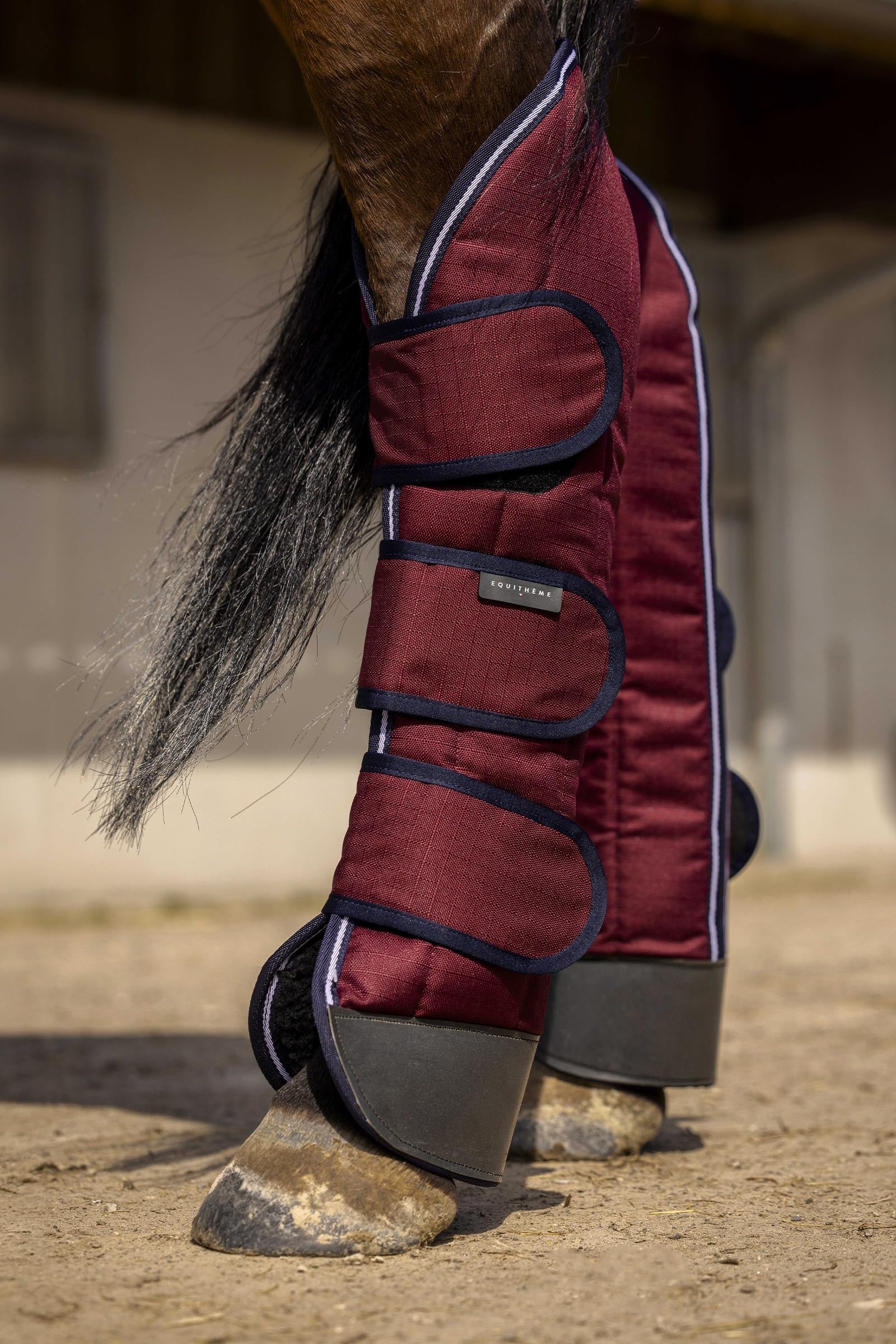 Equi Theme EQUITHÈME TYREX 1200D vahvistetut kuljetussuojat Leg & Hoof Protection