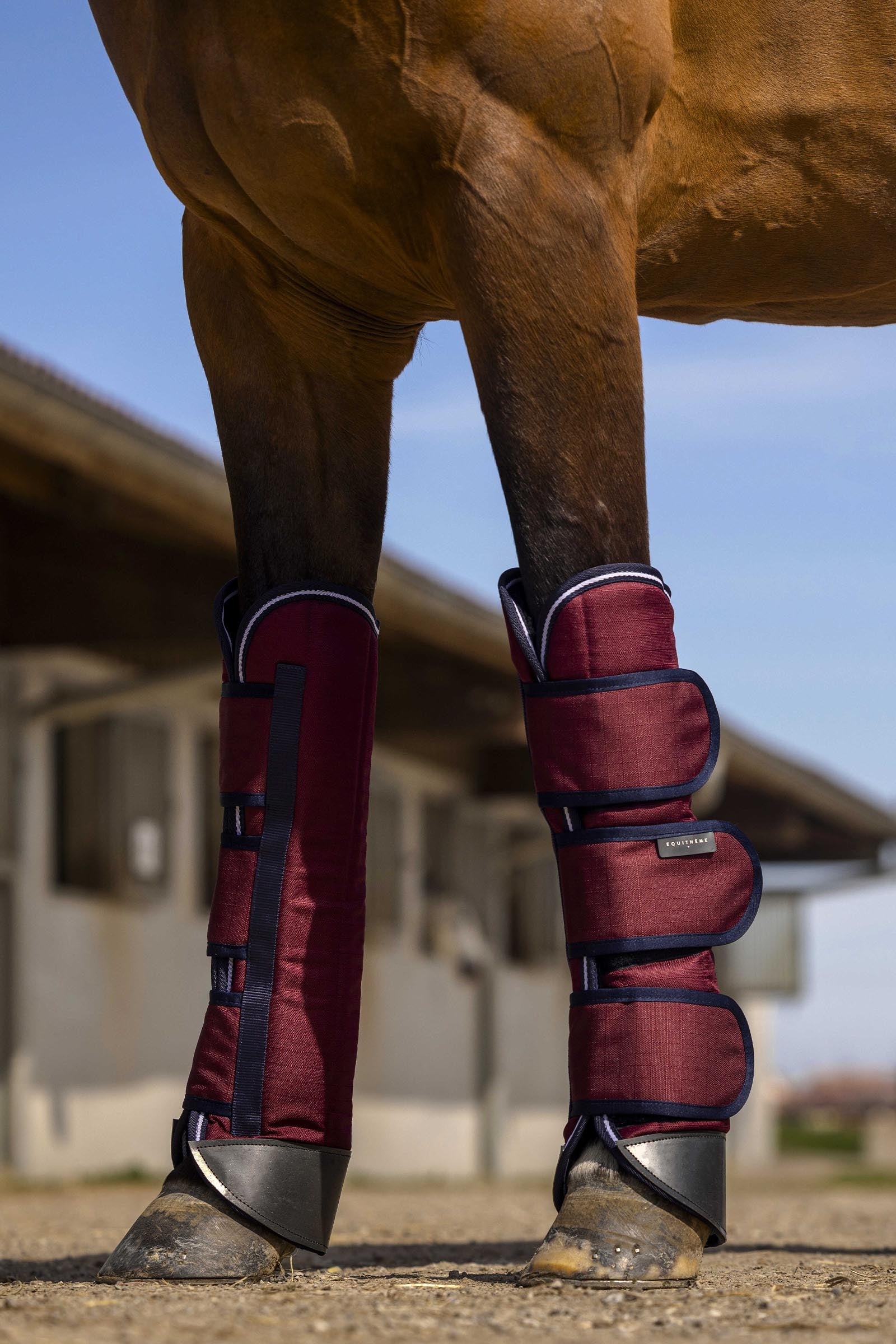 Equi Theme EQUITHÈME TYREX 1200D Reinforced Transport Boots Leg & Hoof Protection