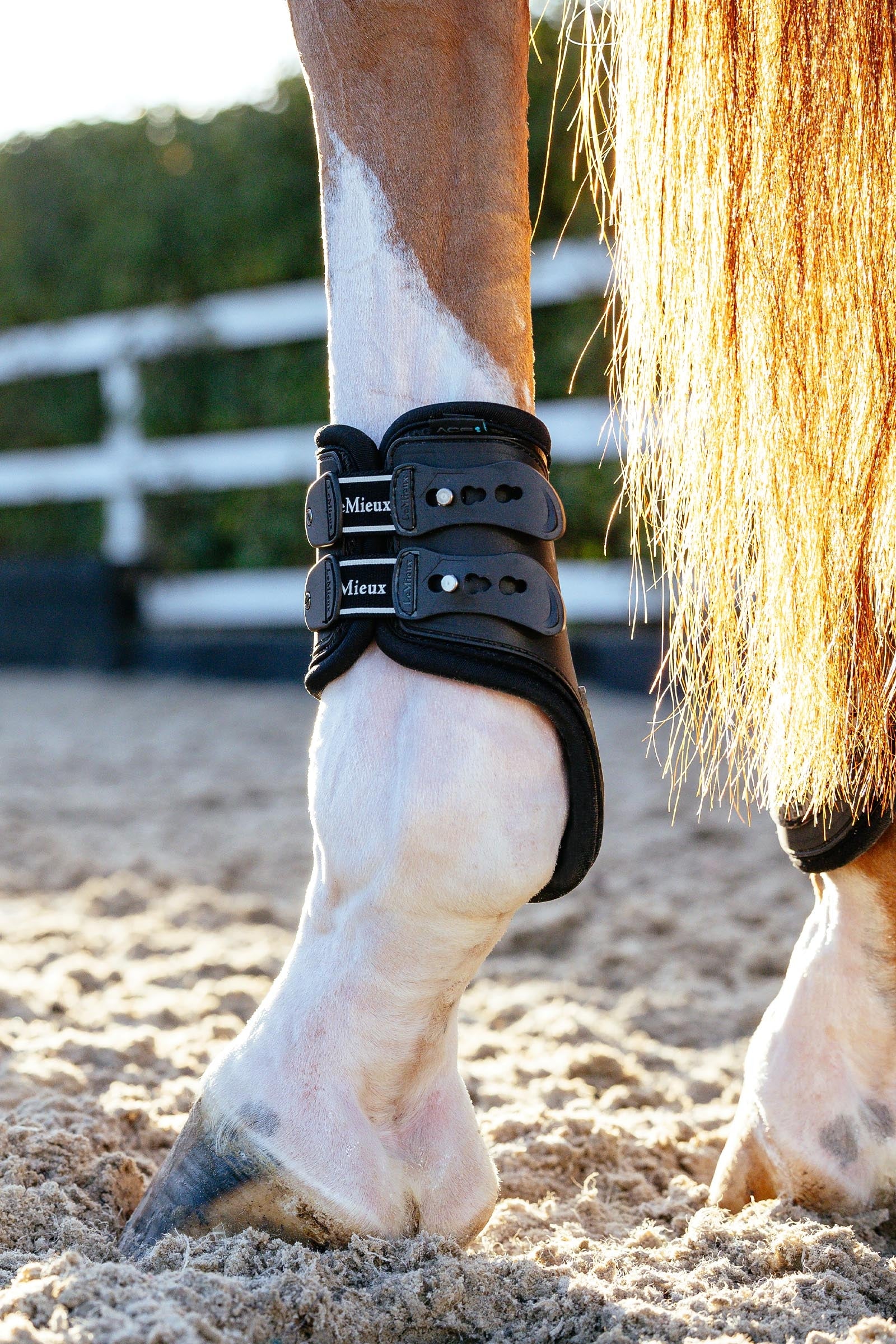 LeMieux EXO Flex Fetlock Boots Leg & Hoof Protection