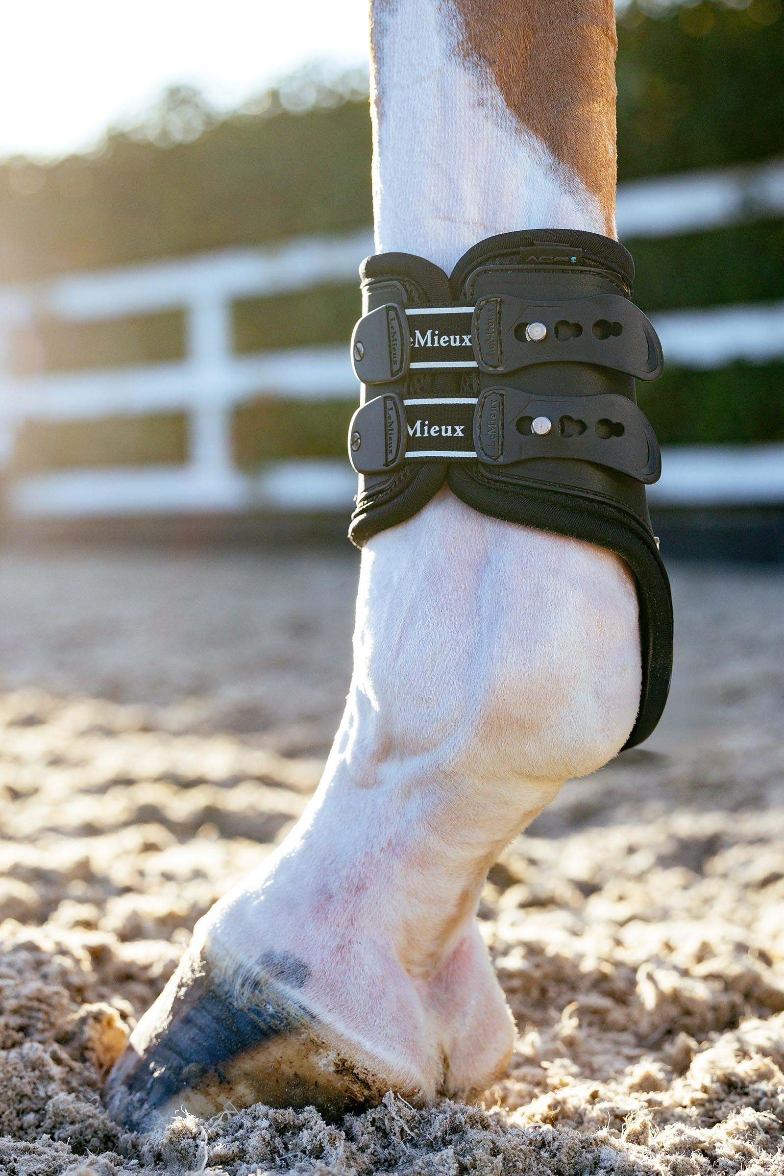 LeMieux EXO Flex Fetlock Boots Leg & Hoof Protection