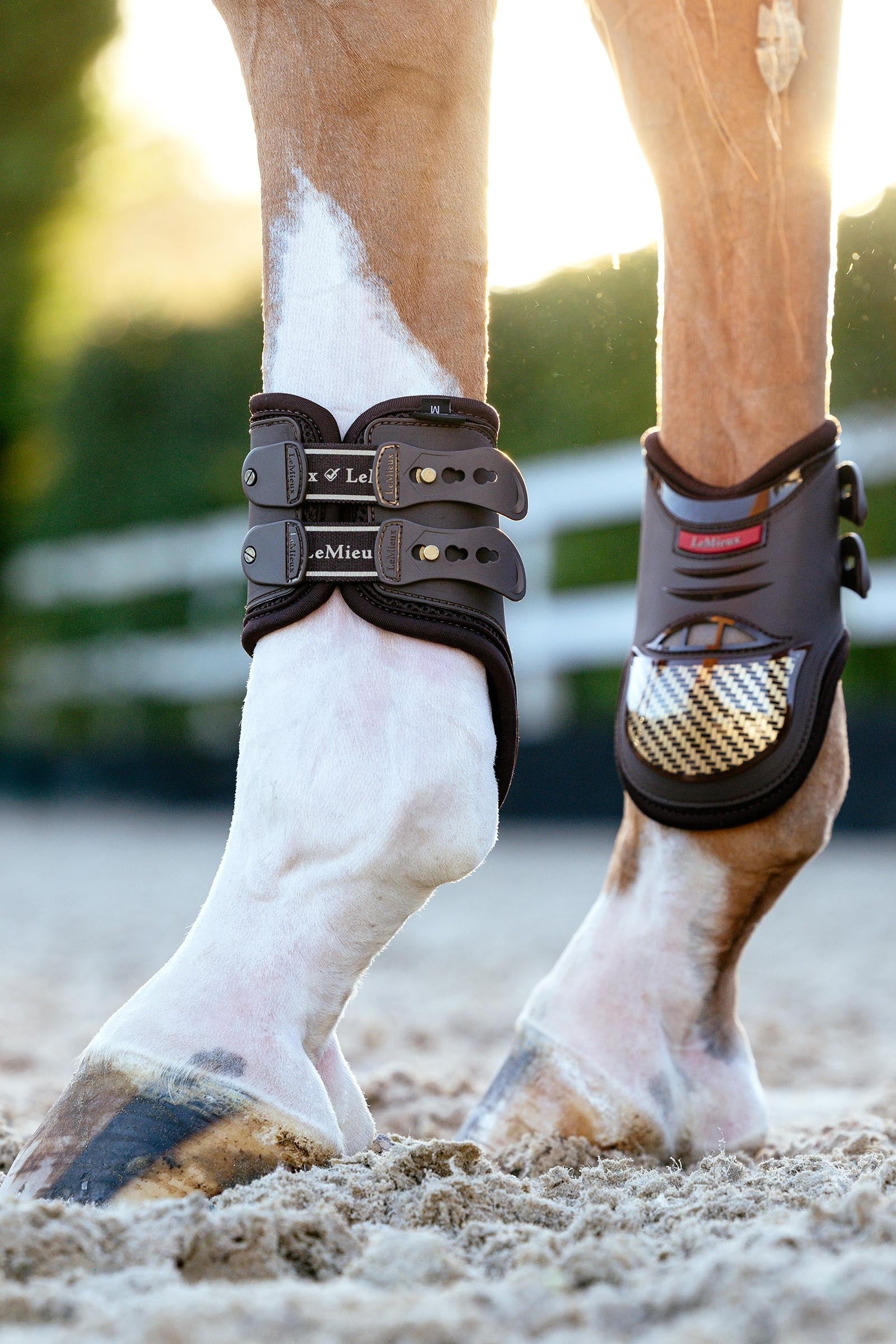 LeMieux EXO Flex Fetlock Boots Leg & Hoof Protection