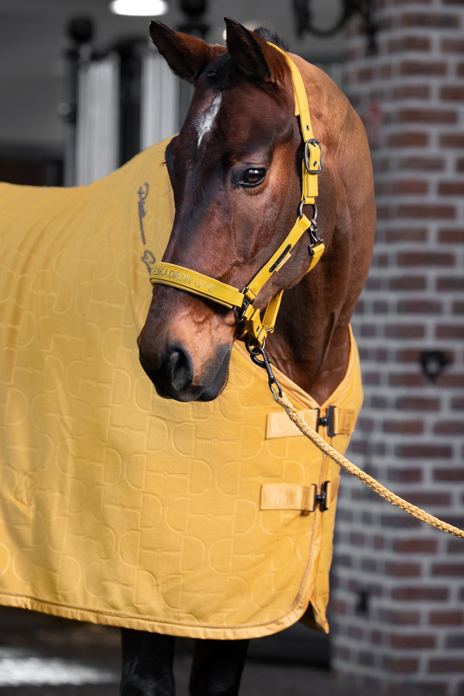 Eskadron Platinum 25 Fleece Stamp Bit Sweat Rug Horse Rugs