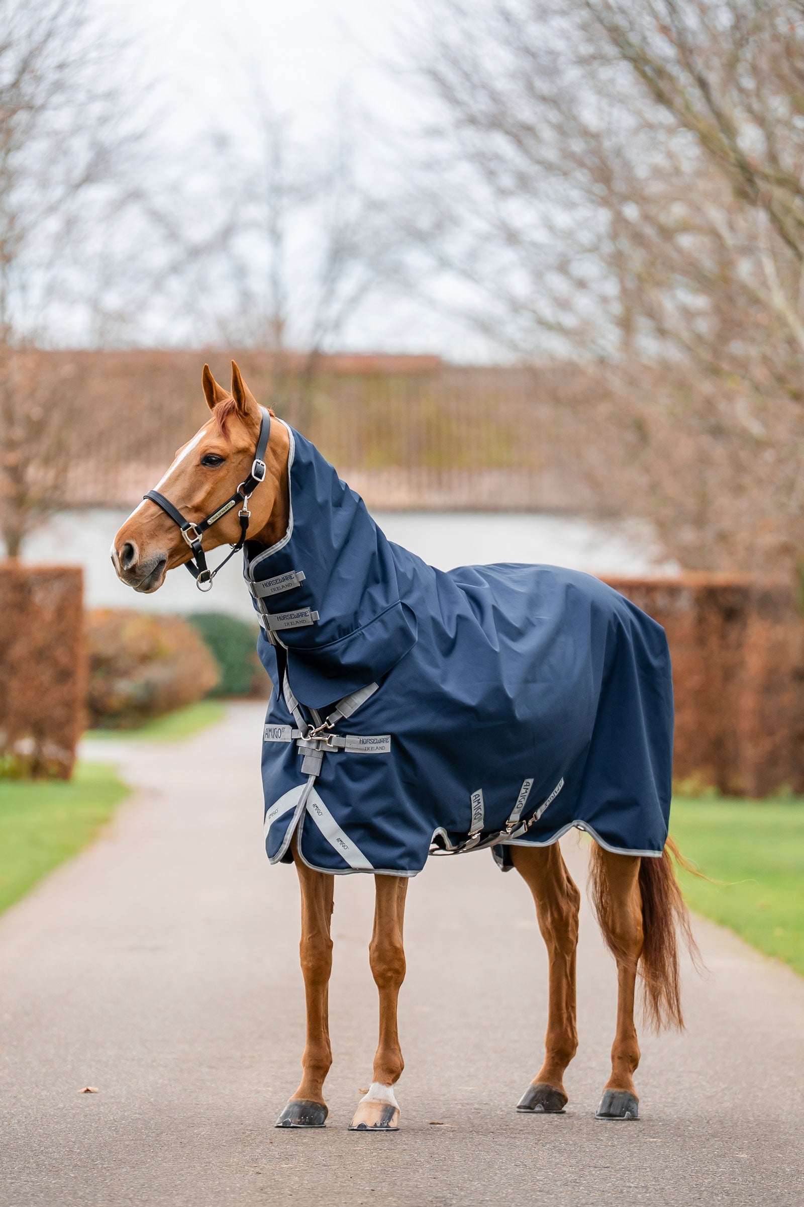 Horseware Amigo 1200D integroitu ulkoloimi 250 g Loimet