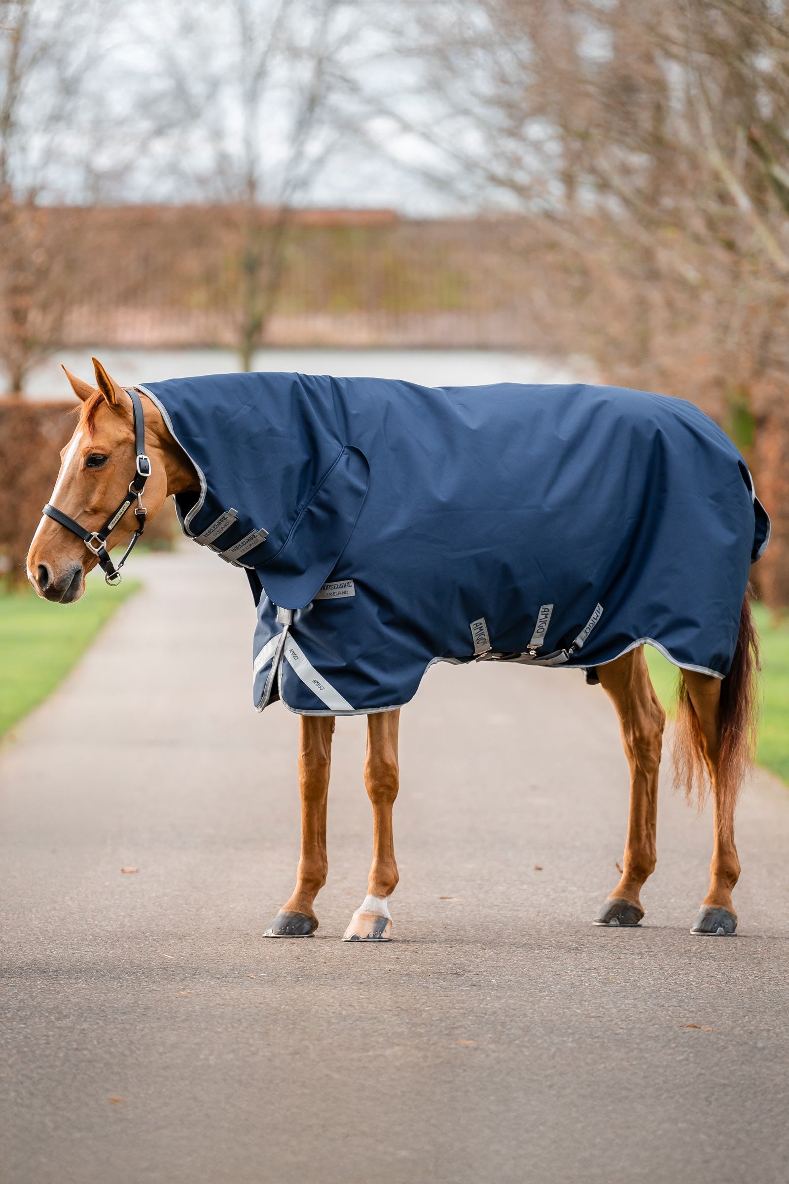 Horseware Amigo 1200D Integrated Turnout 250g Horse Rugs