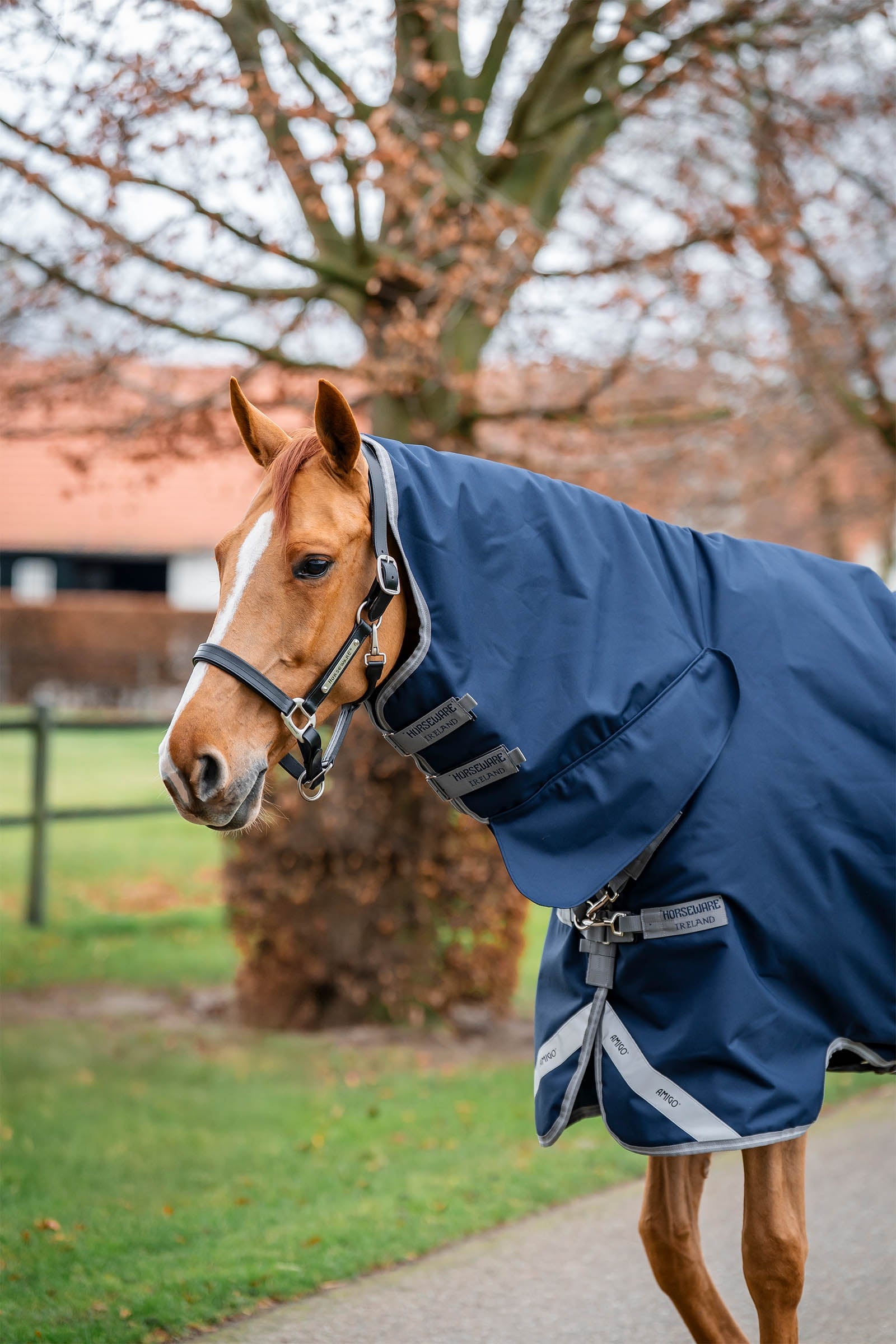 Horseware Amigo 1200D Integrated Turnout 250g Horse Rugs