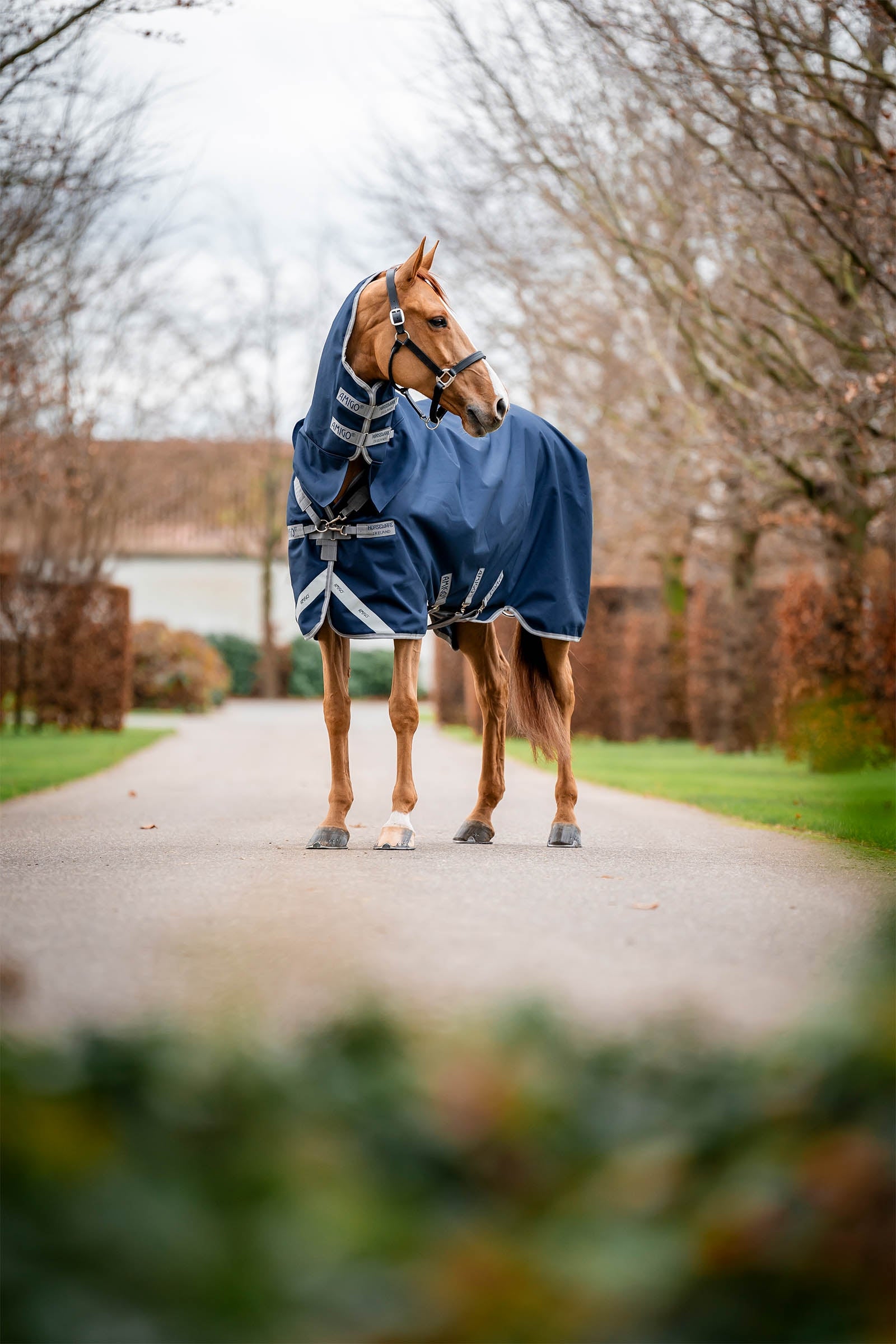 Horseware Amigo 1200D Integrated Turnout 250g Horse Rugs