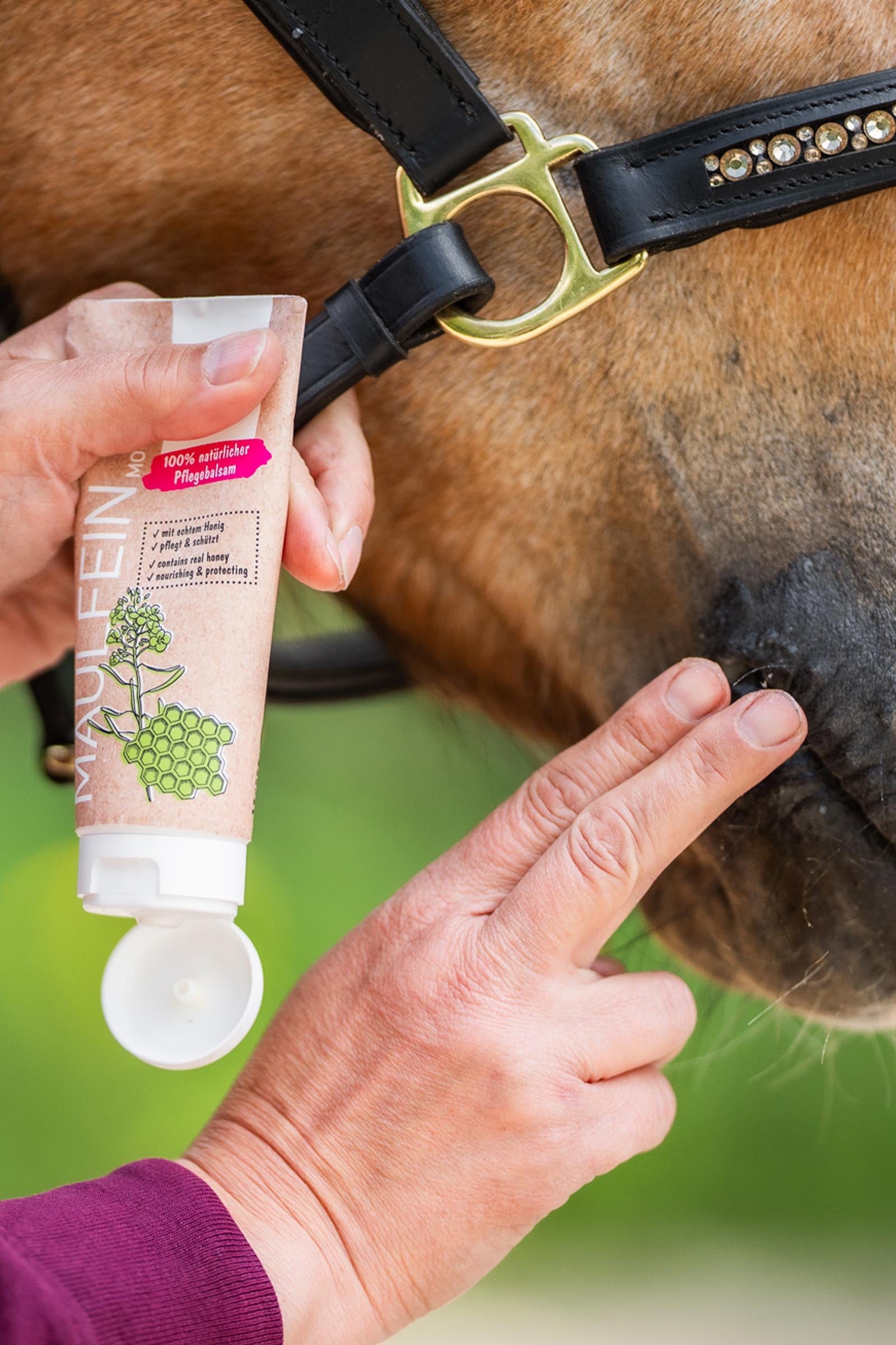 Bense & Eicke MouthFine, 100 ml Horse Health Care