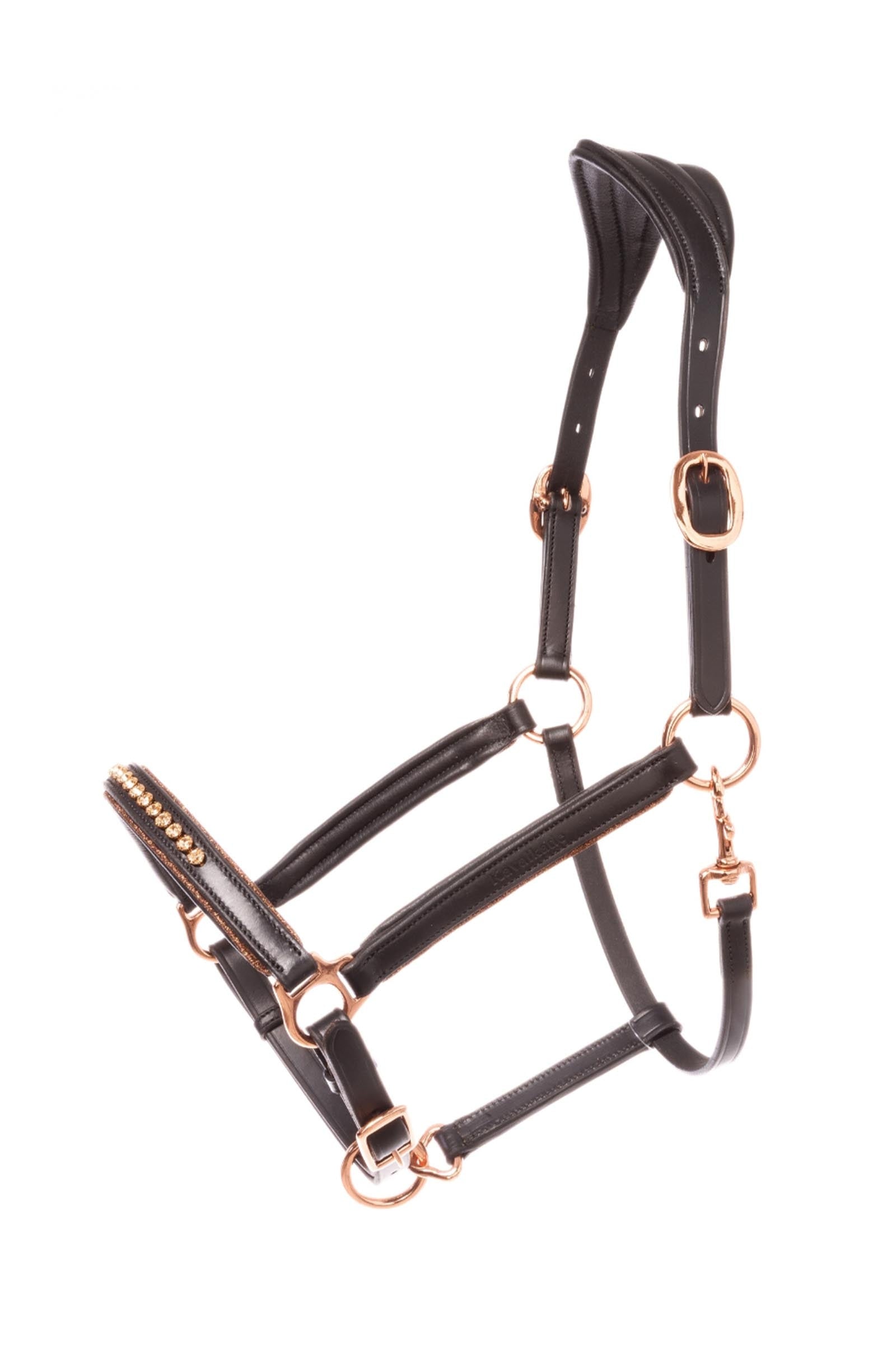 Kavalkade Freydis Icelandic Halter Halters & Leads