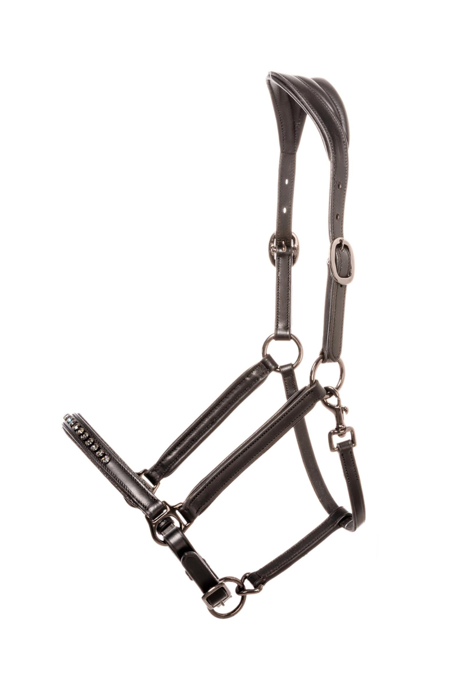 Kavalkade Freydis Icelandic Halter Halters & Leads