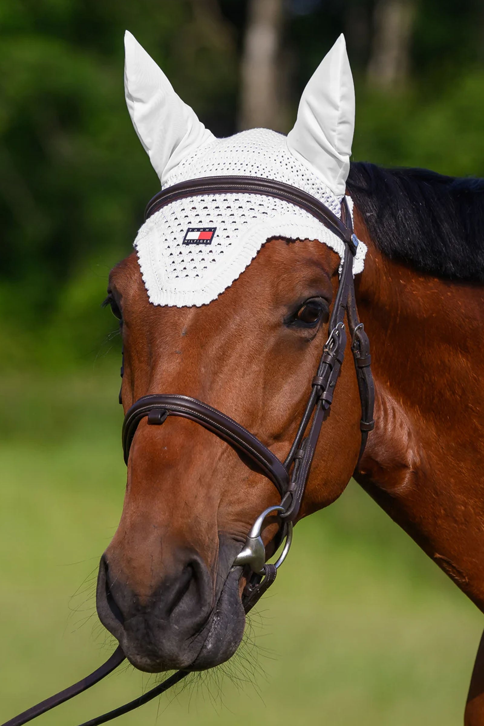 Tommy Hilfiger Equestrian Lexington Fly Hood Saddle Pads