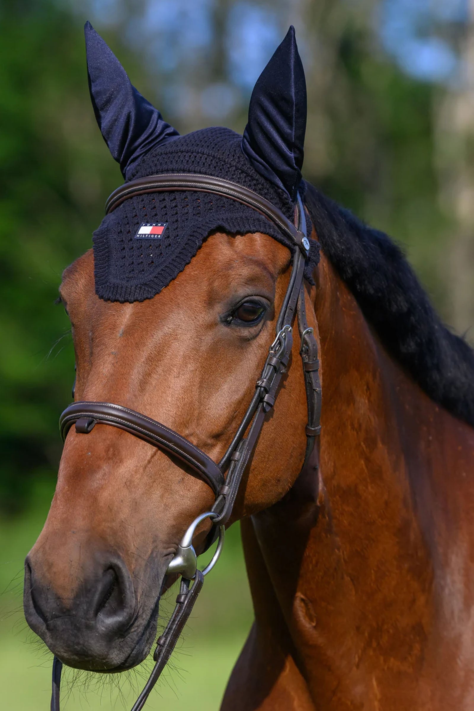 Tommy Hilfiger Equestrian Lexington Fly Hood Saddle Pads