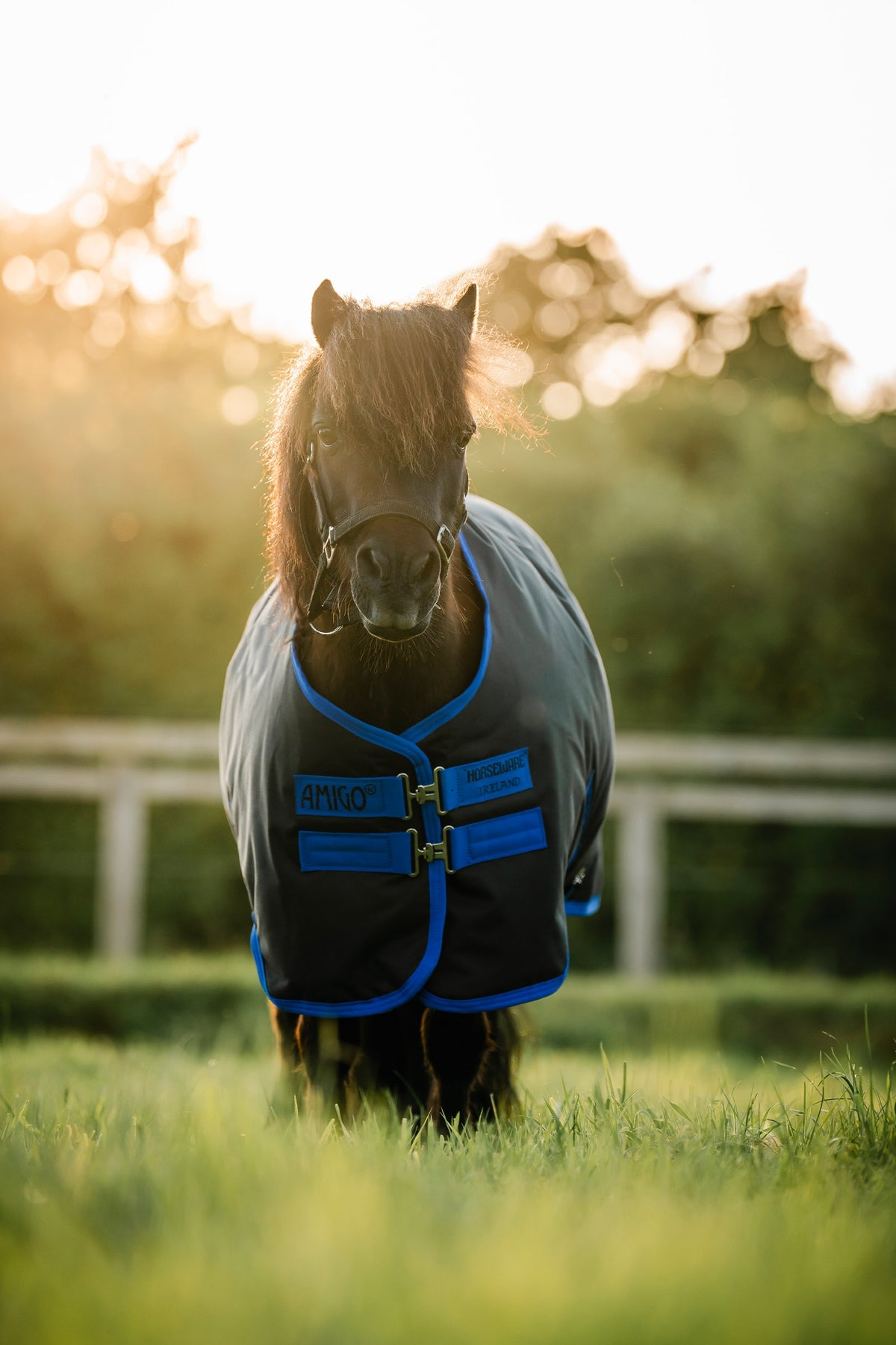 Horseware Amigo Ripstop 900D Petite Turnout, 0 g Horse Rugs