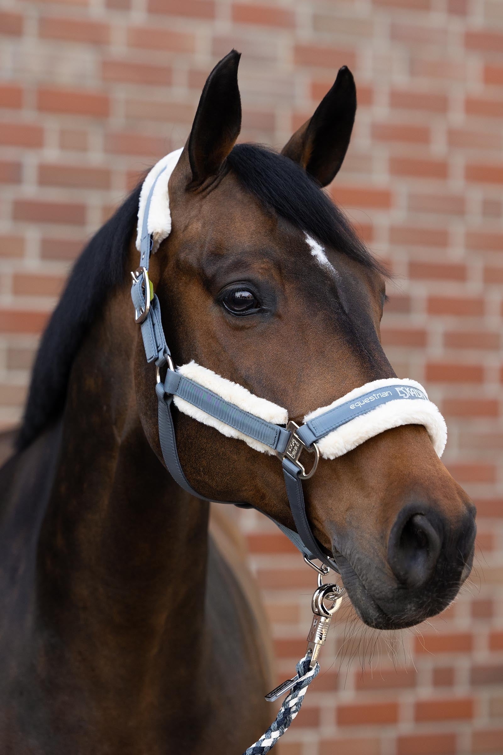 Eskadron Faux Fur Halter Double Pin Antifly Protection for Horses