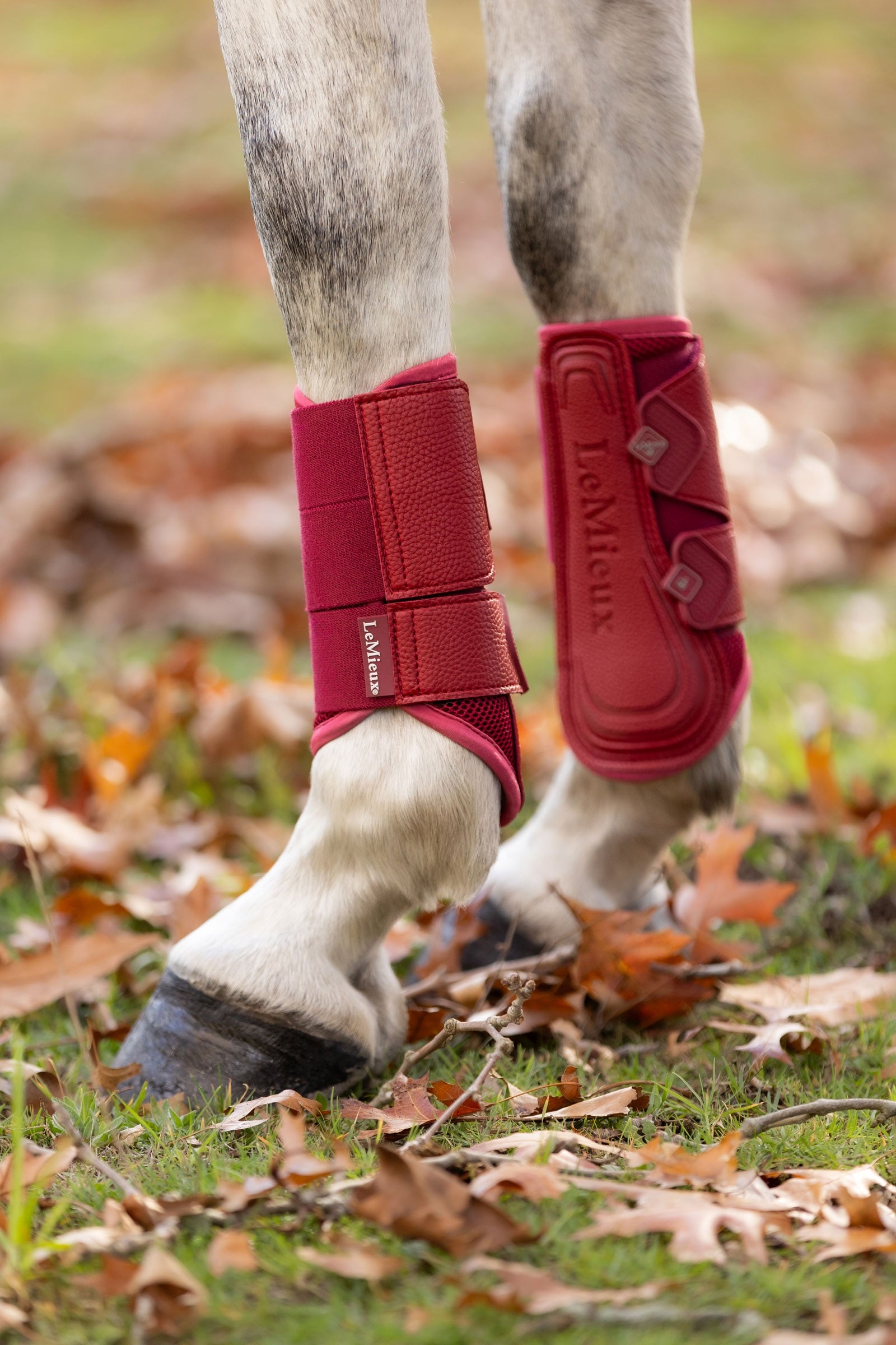 LeMieux Arika Mesh Brushing Boots Leg Protection & Hoof Protection for Horses