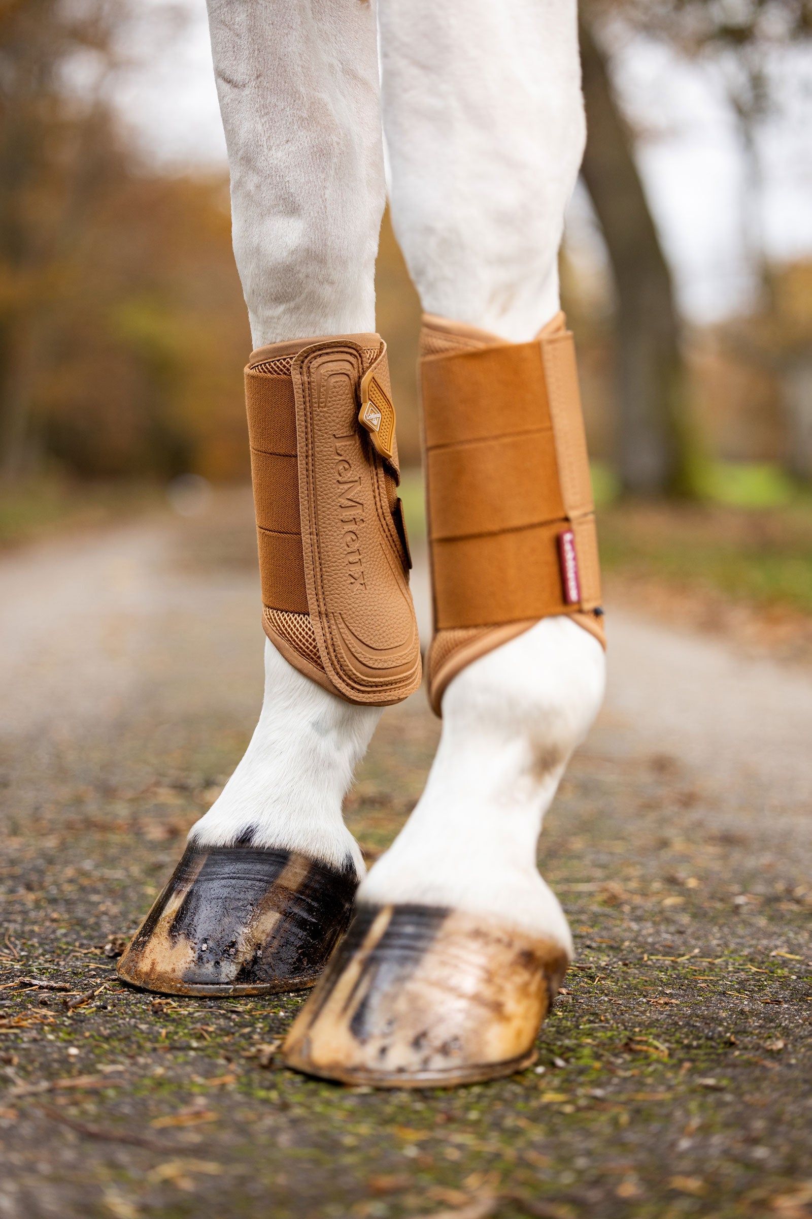 LeMieux Arika Mesh Brushing Boots Leg Protection & Hoof Protection for Horses