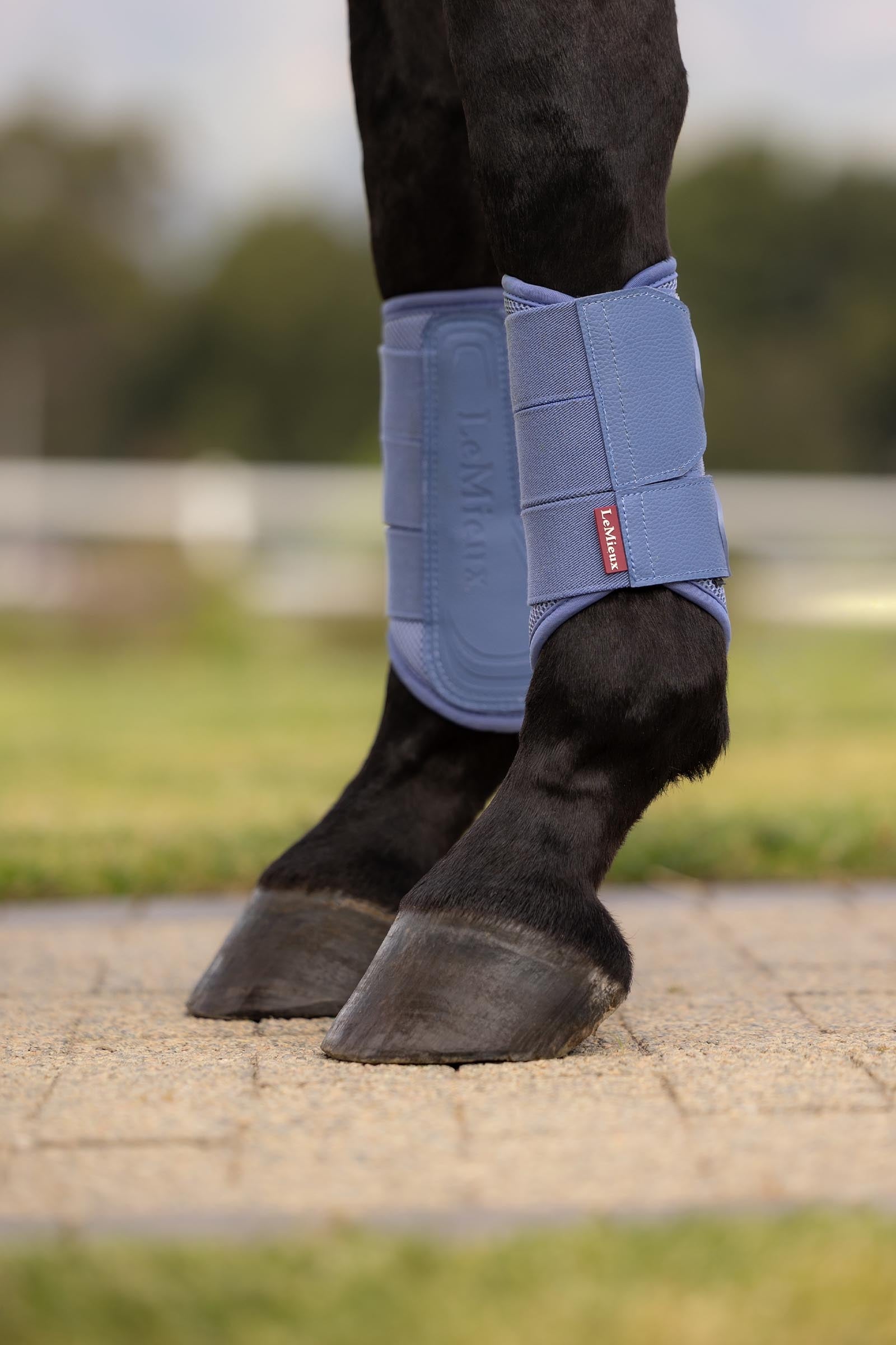 LeMieux Arika Mesh Brushing Boots Leg Protection & Hoof Protection for Horses
