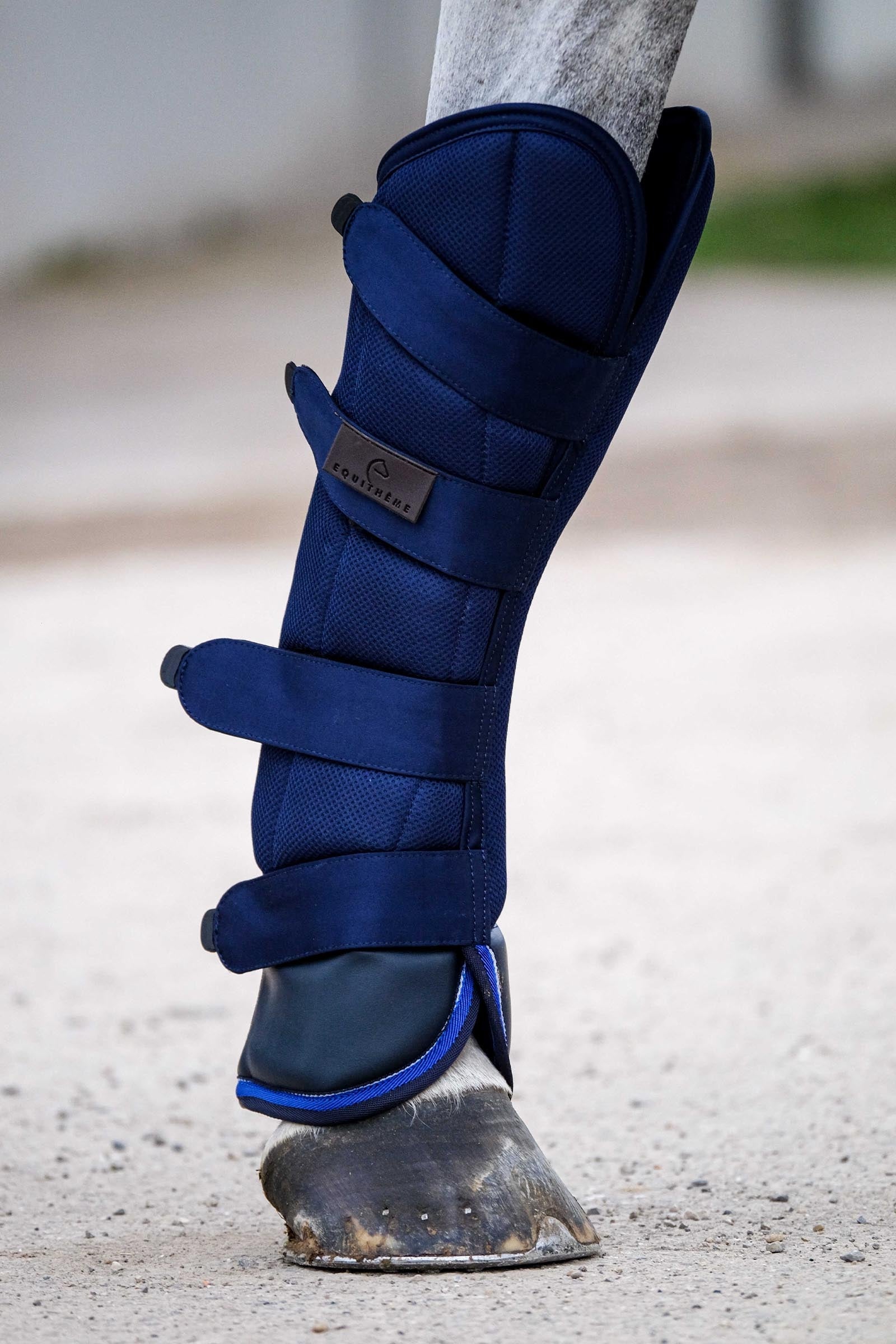 Equi Theme EQUITHÈME Classic kuljetussuojat Leg & Hoof Protection