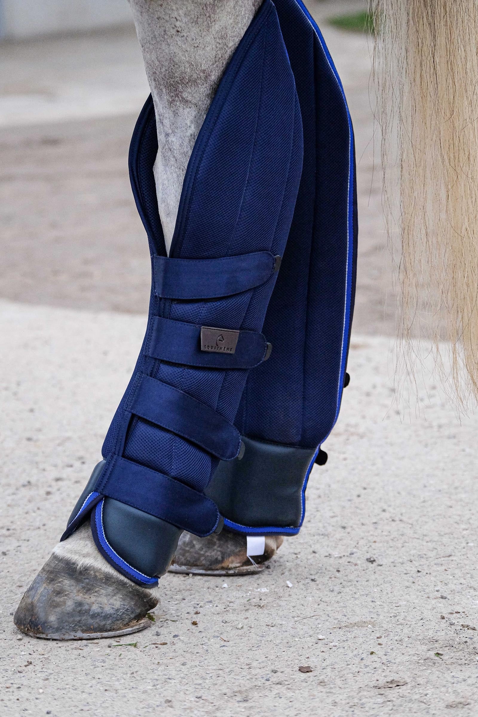 Equi Theme EQUITHÈME Classic Transport Boots Leg & Hoof Protection