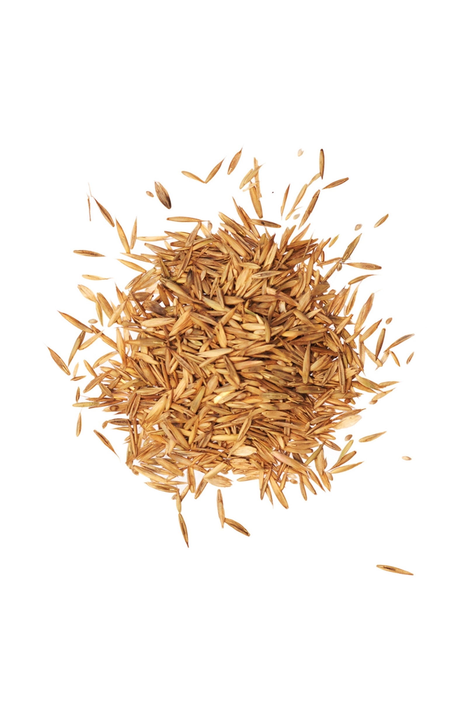 Agrobs Pre Alpin Seeds 10kg Fencing Supplies