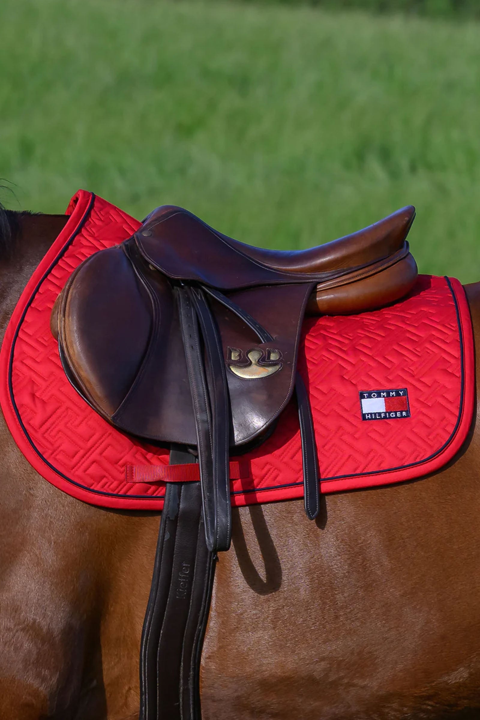 Tommy Hilfiger Equestrian Harvard Jumping Saddlepad Saddle Pads